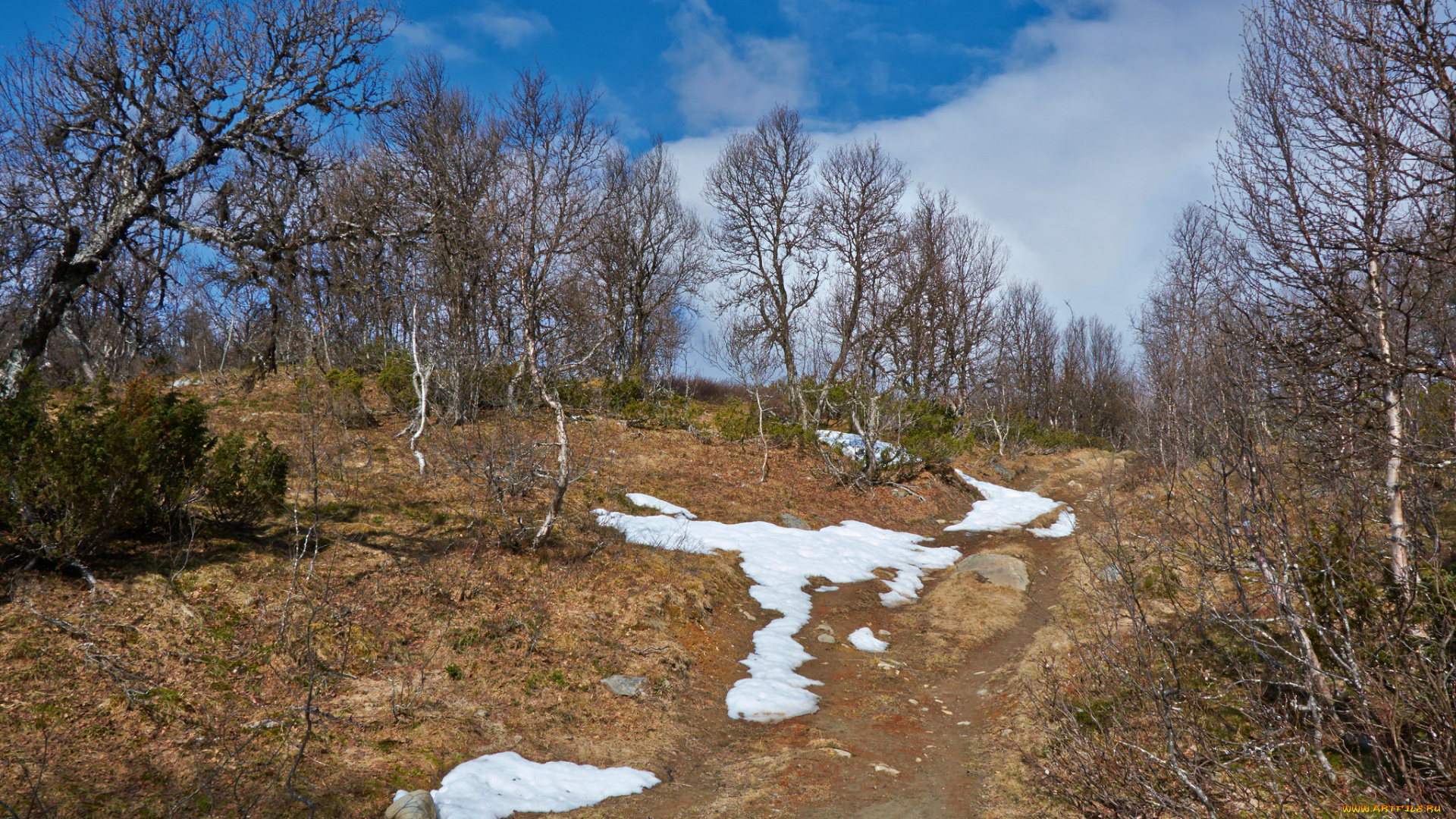 природа, дороги, простор