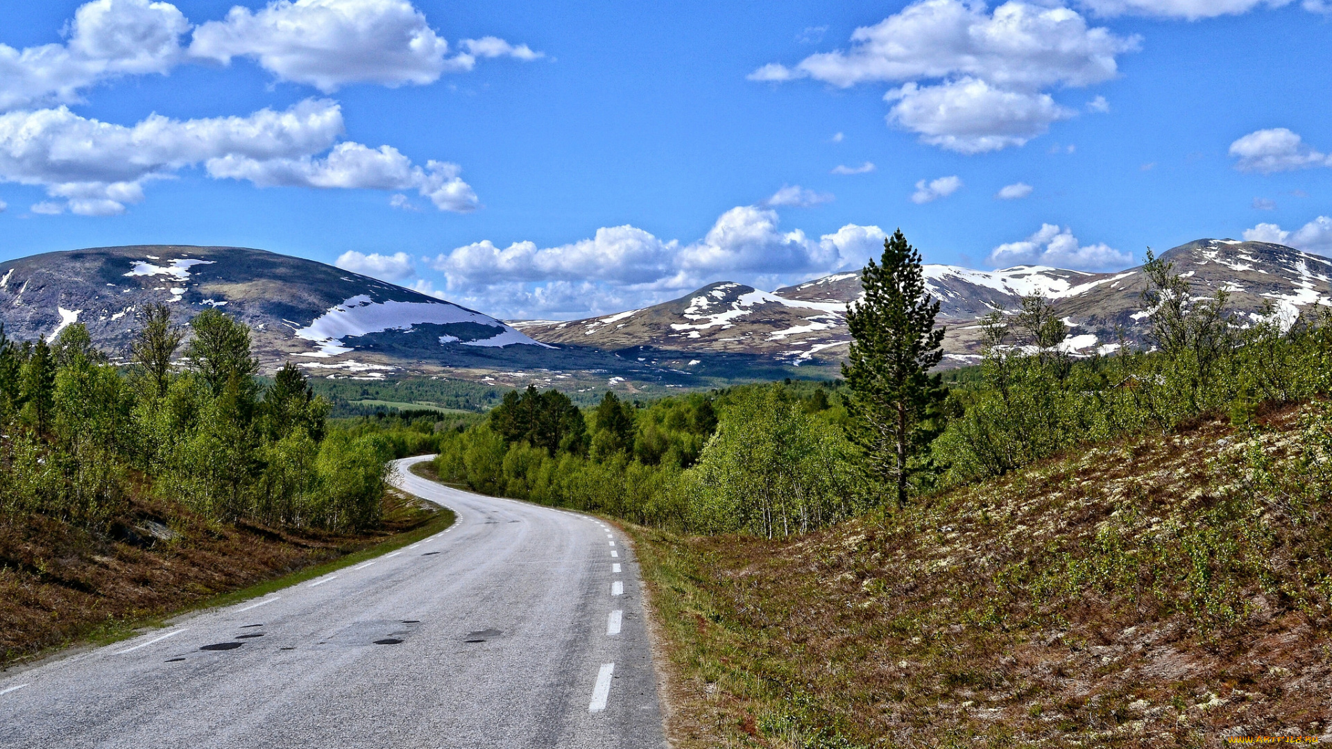 природа, дороги, простор