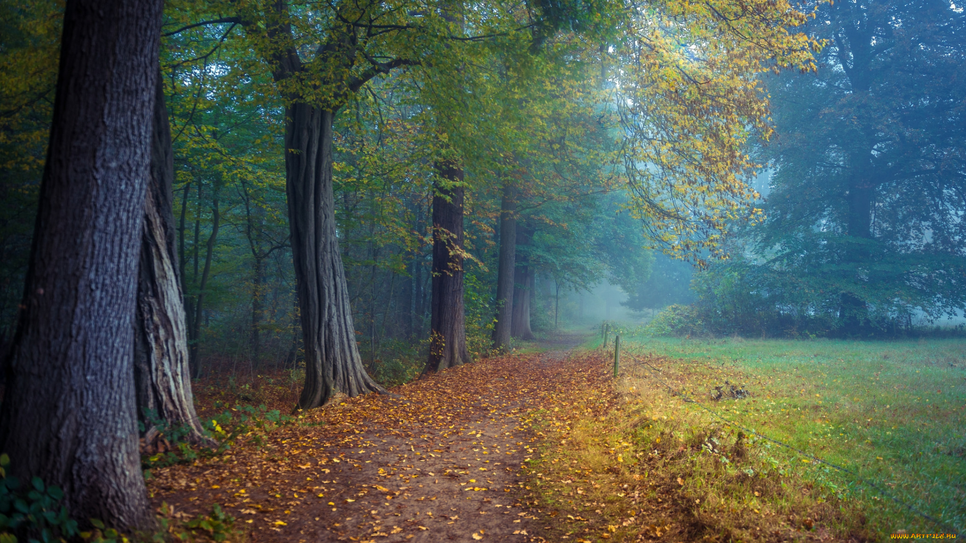 природа, дороги, простор