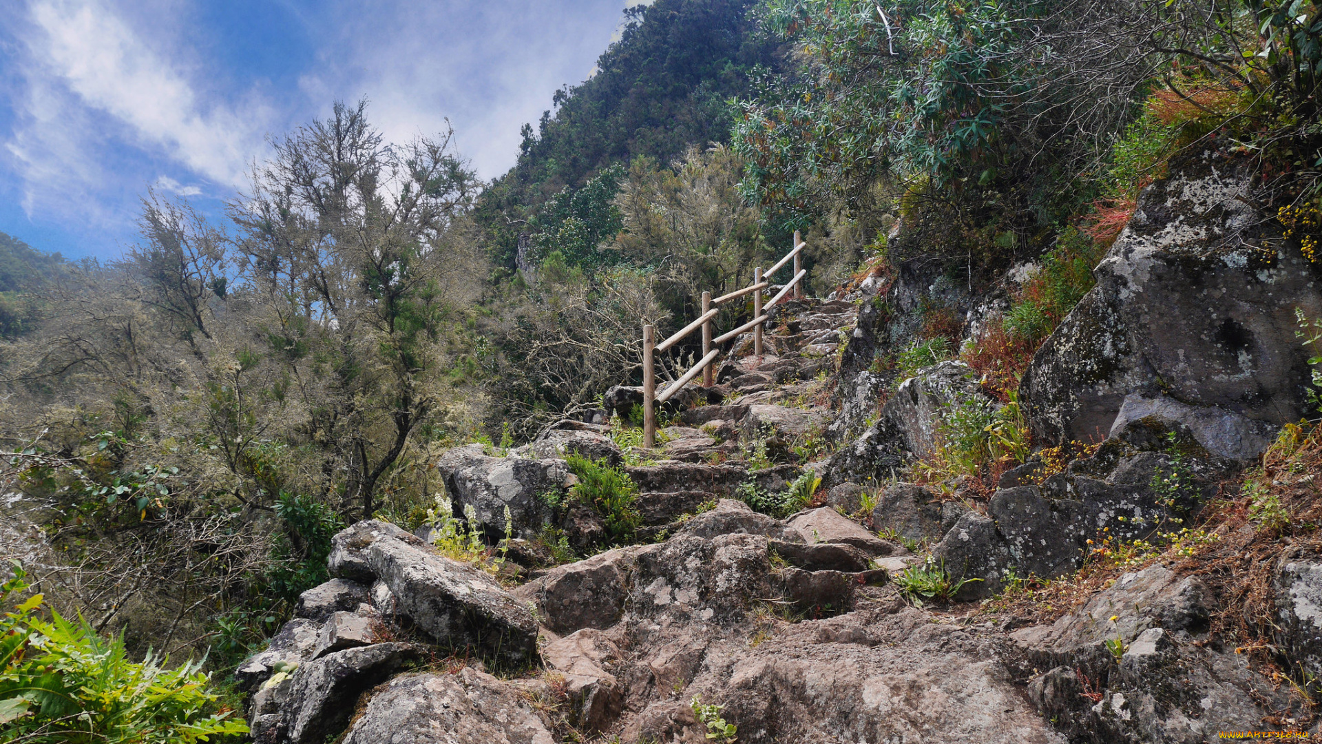 природа, горы, простор