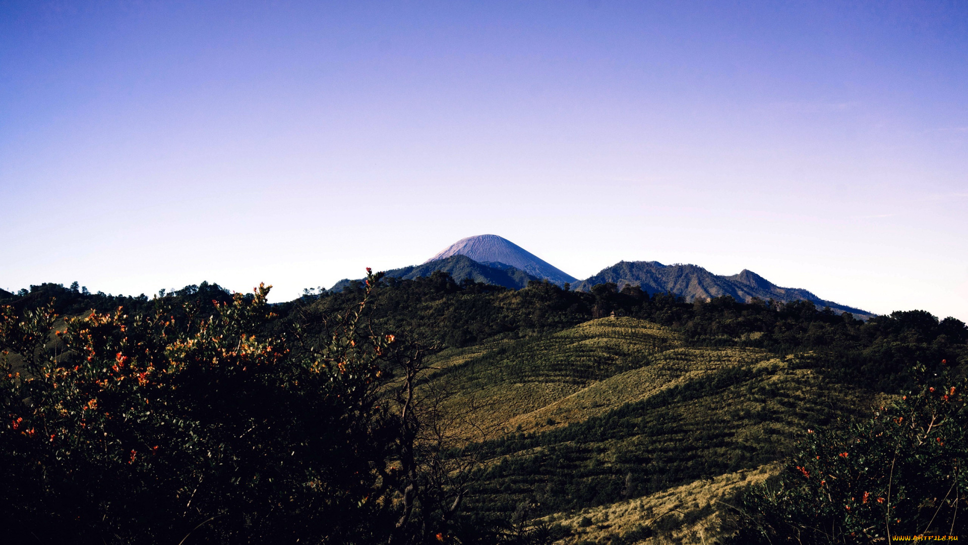 природа, горы, вершина, деревья