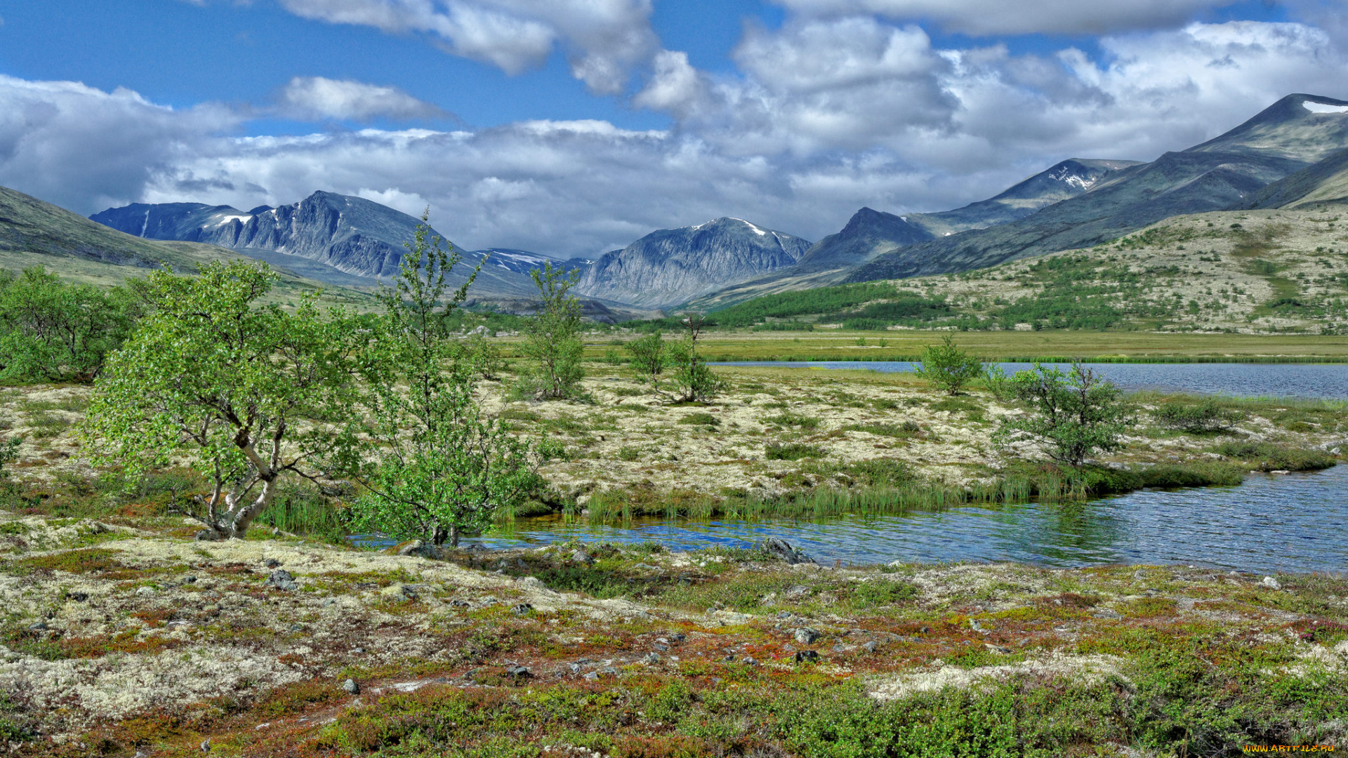 природа, пейзажи, простор