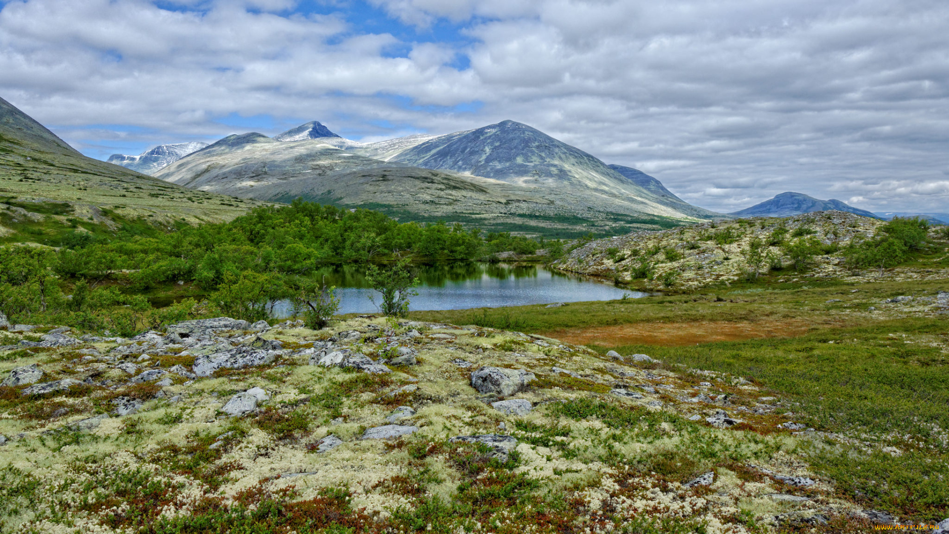 природа, пейзажи, простор
