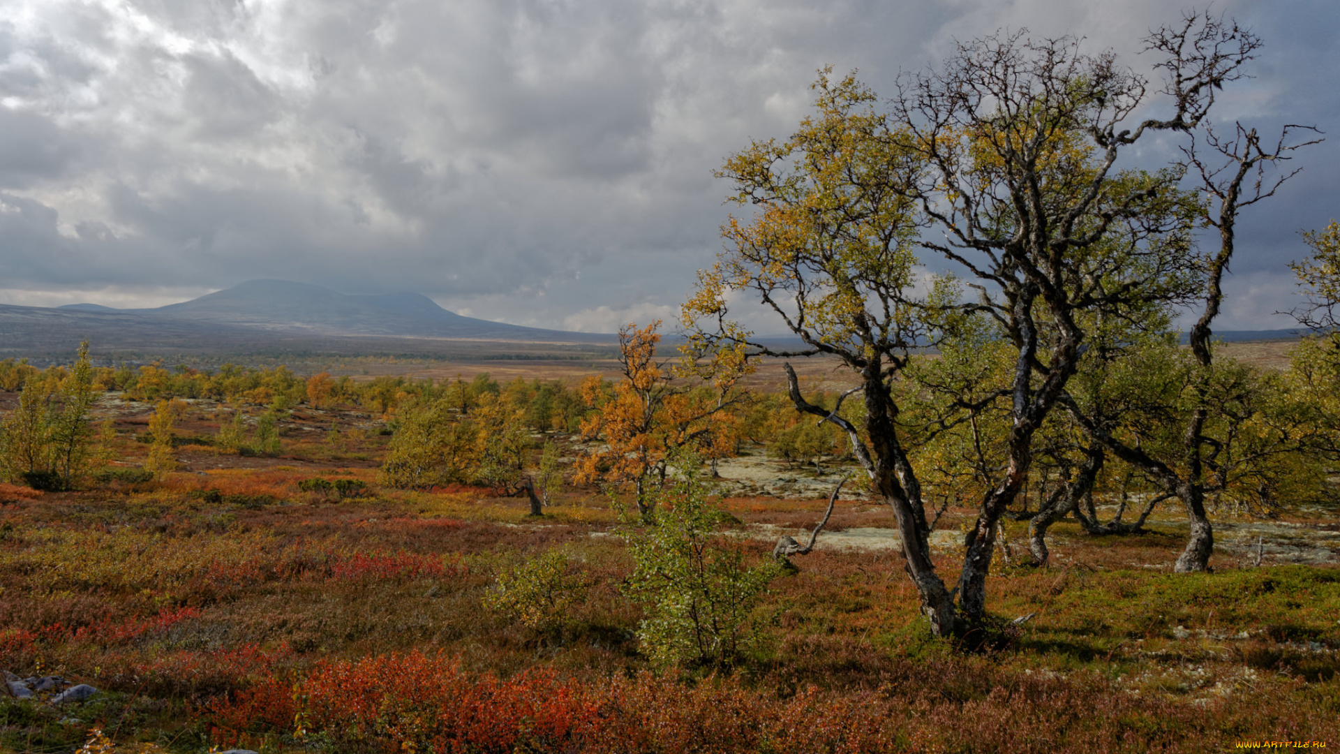природа, пейзажи, простор