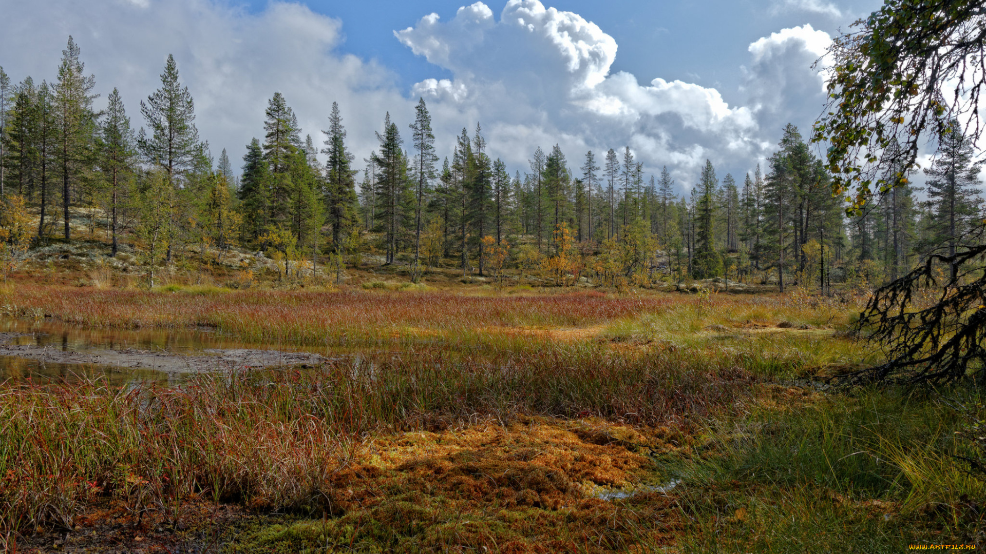 природа, пейзажи, простор