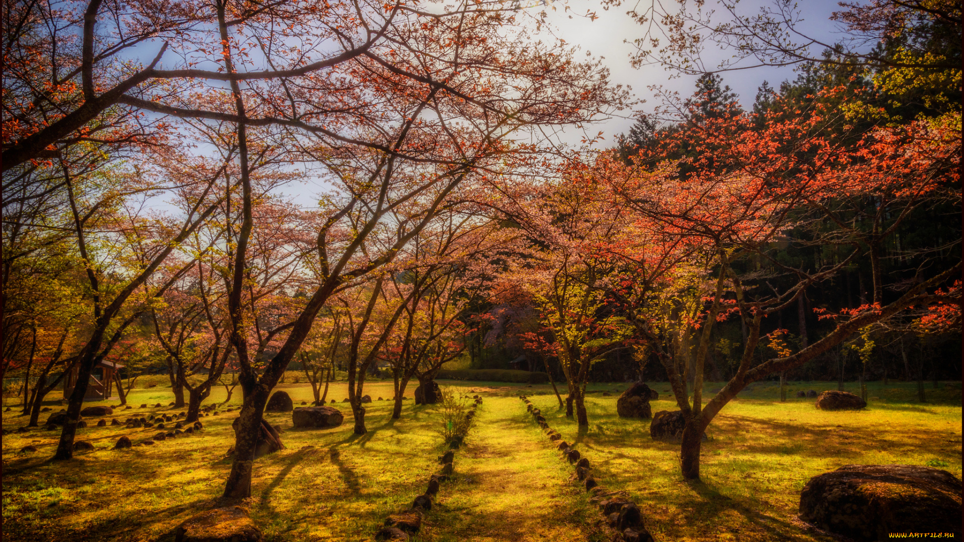 природа, пейзажи, простор