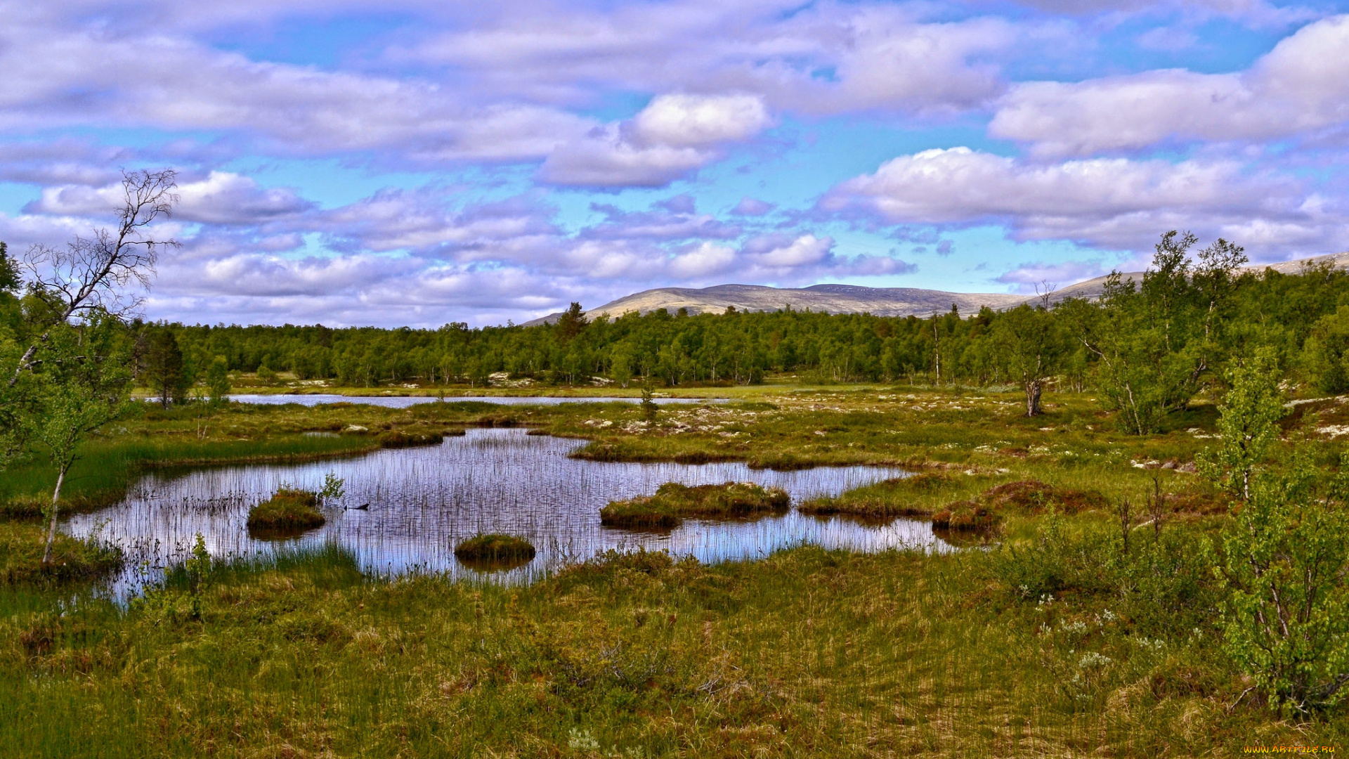 природа, пейзажи, простор