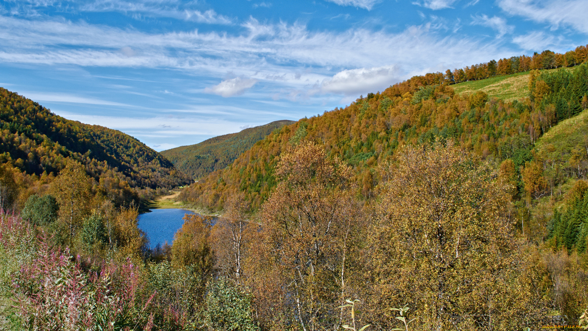природа, пейзажи, простор