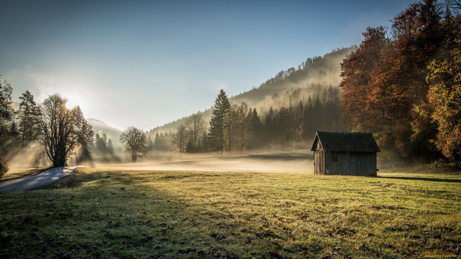 природа, пейзажи, туман, утро, дом, поле