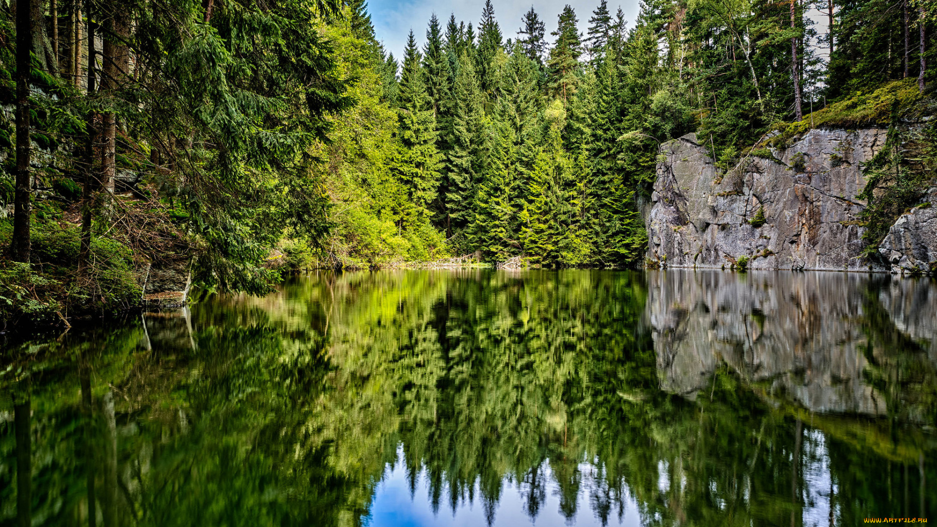 природа, реки, озера, лес, река