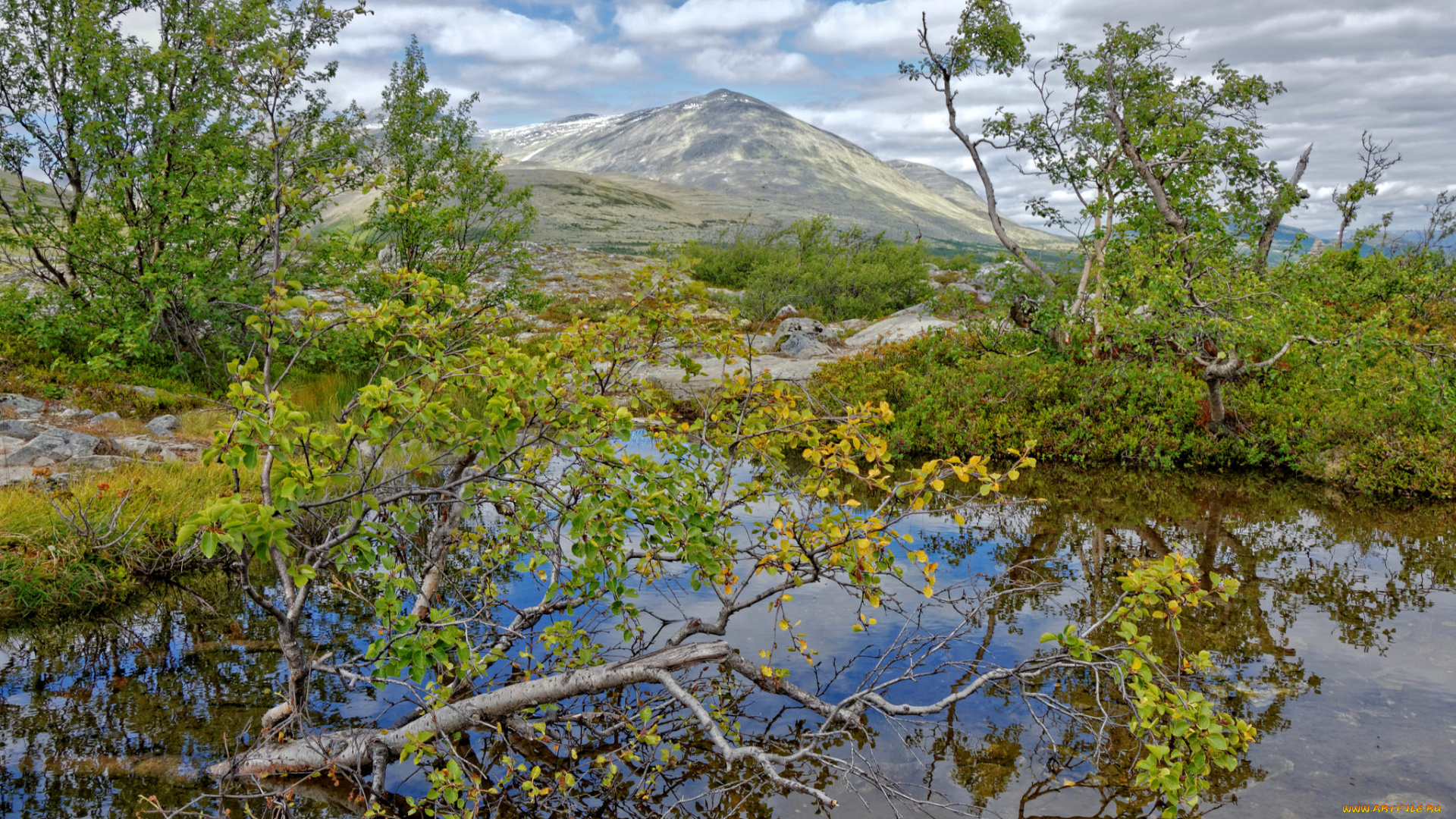 природа, реки, озера, простор