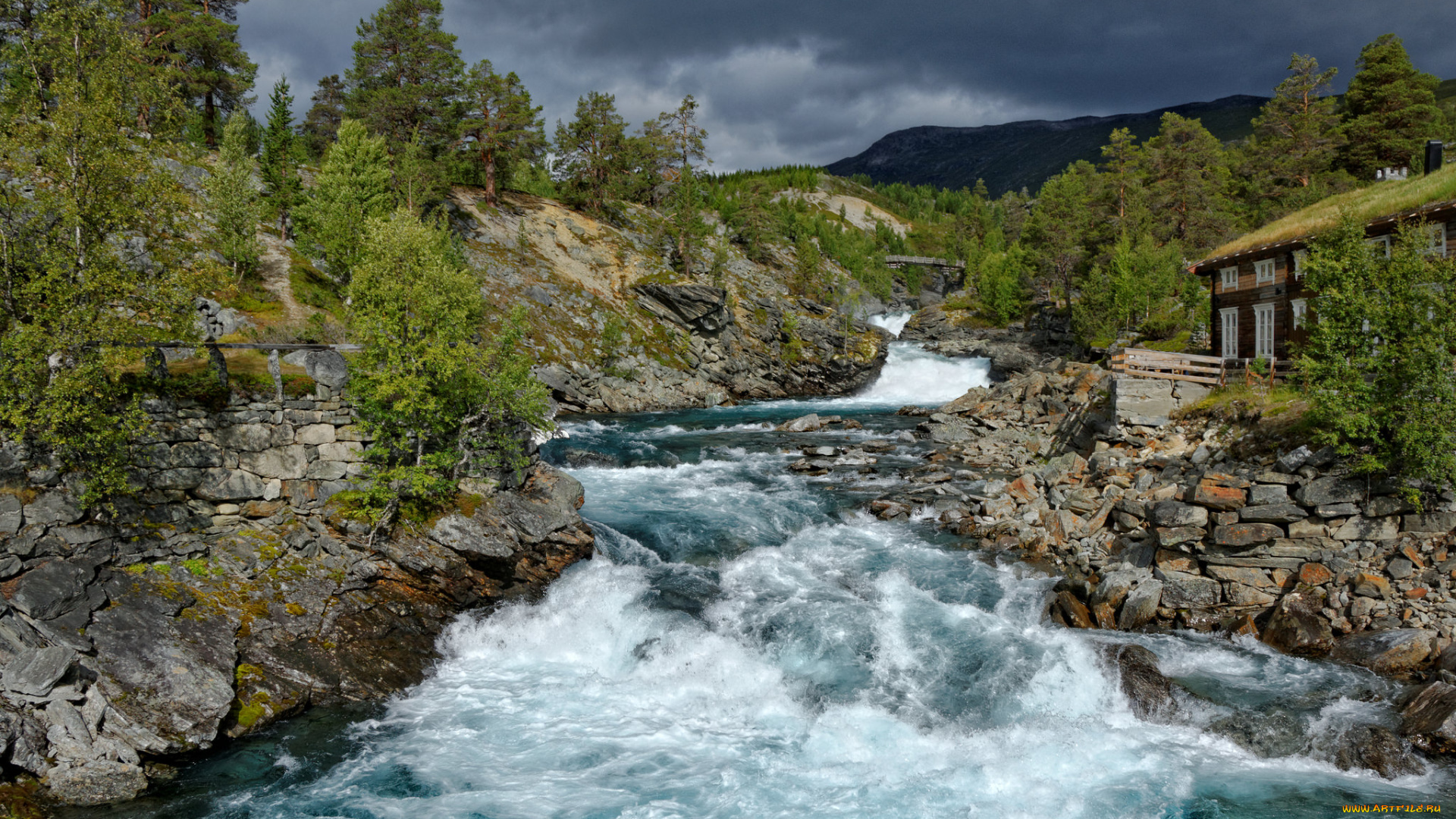 природа, реки, озера, простор