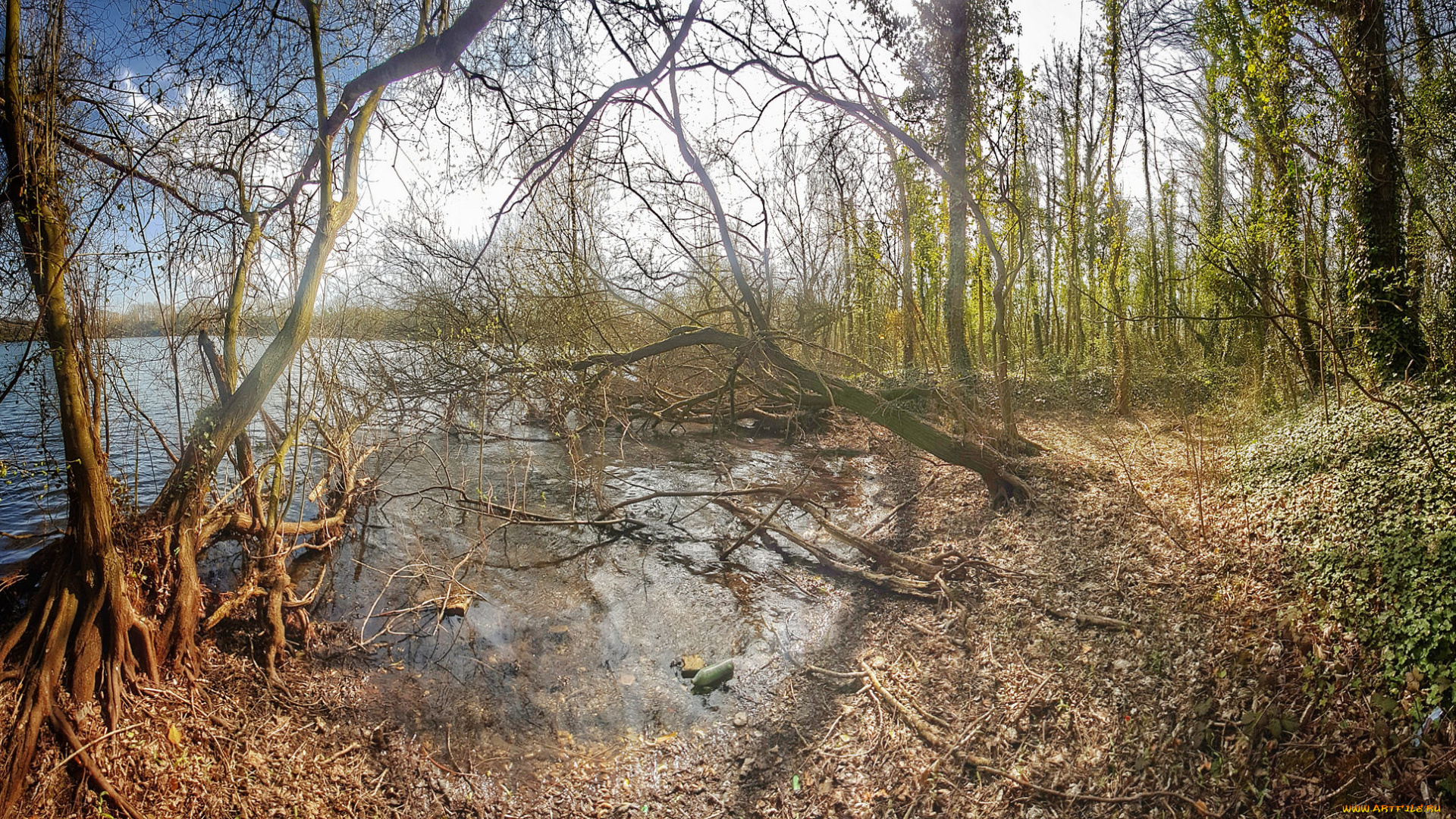 природа, реки, озера, простор