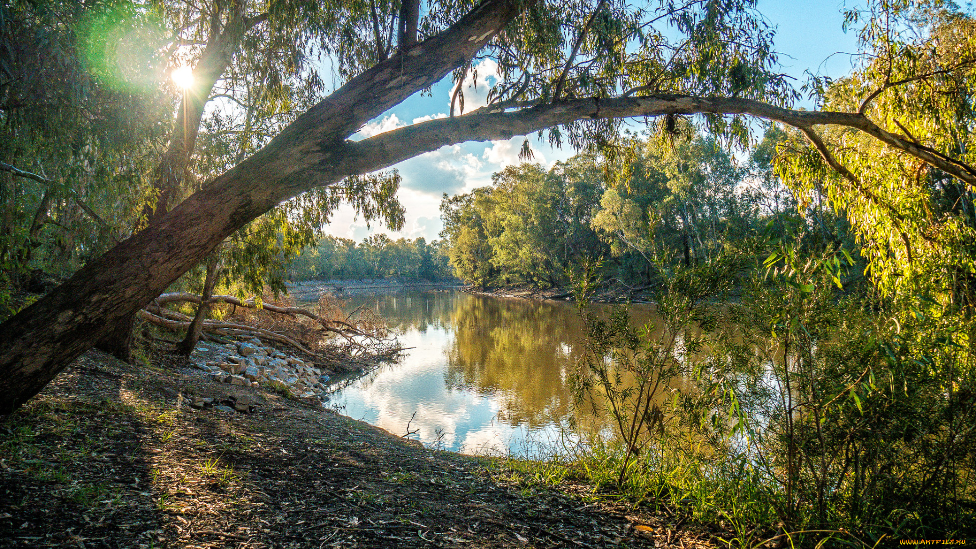 природа, реки, озера, простор