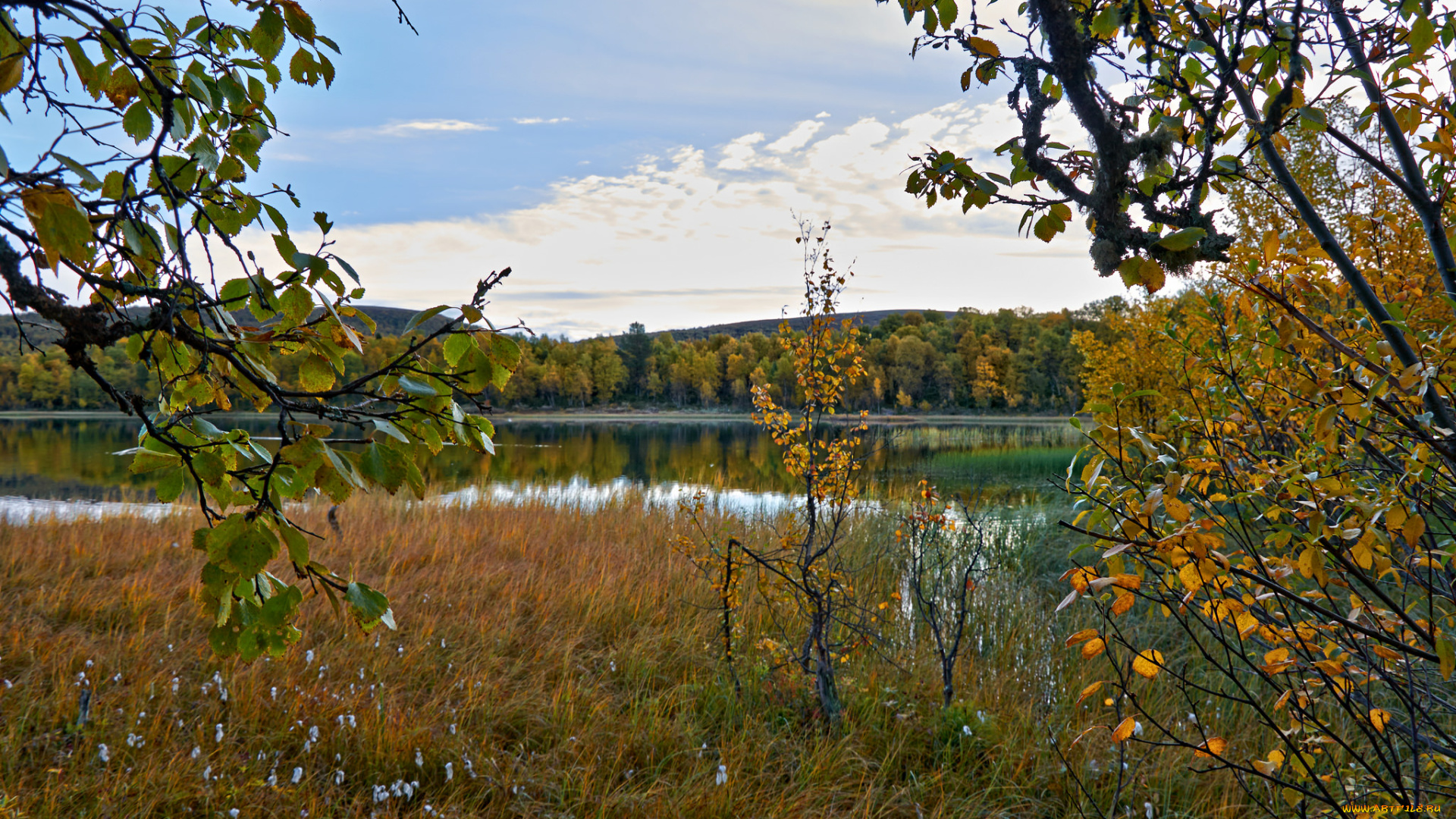 природа, реки, озера, простор