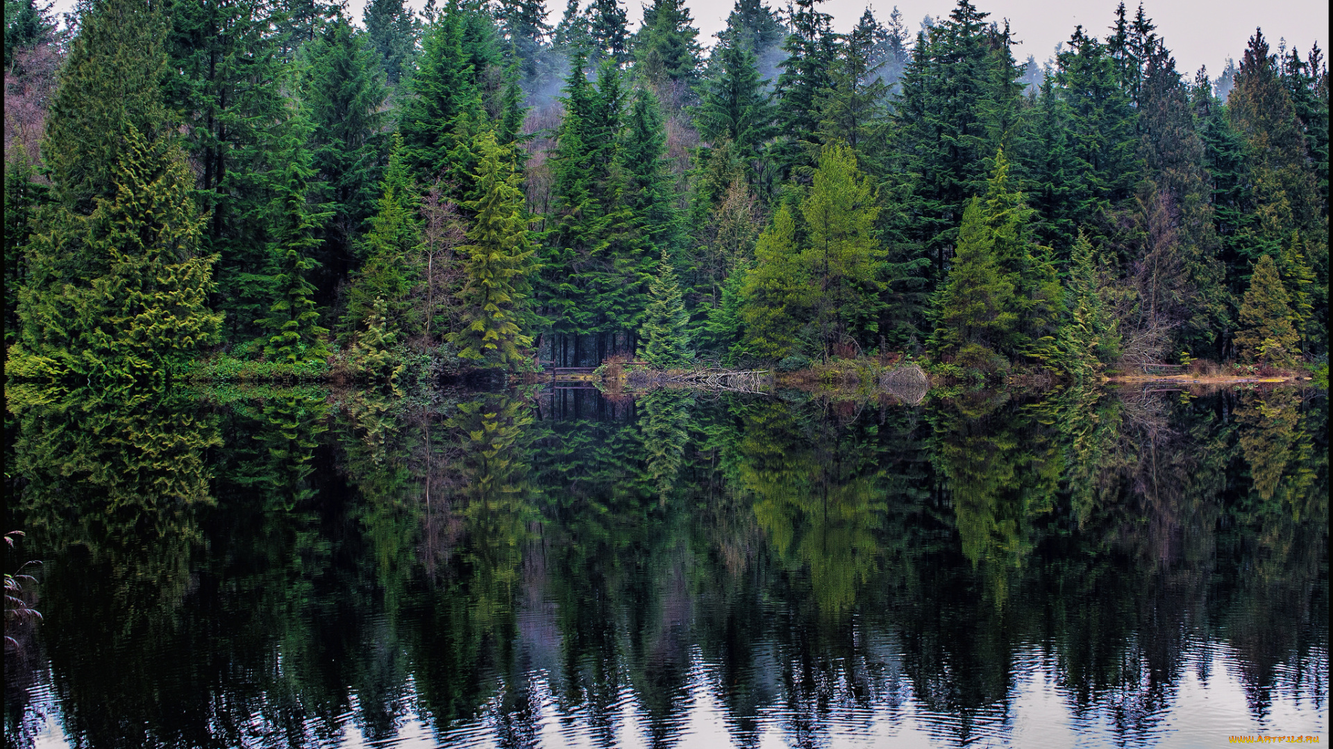 природа, реки, озера, простор