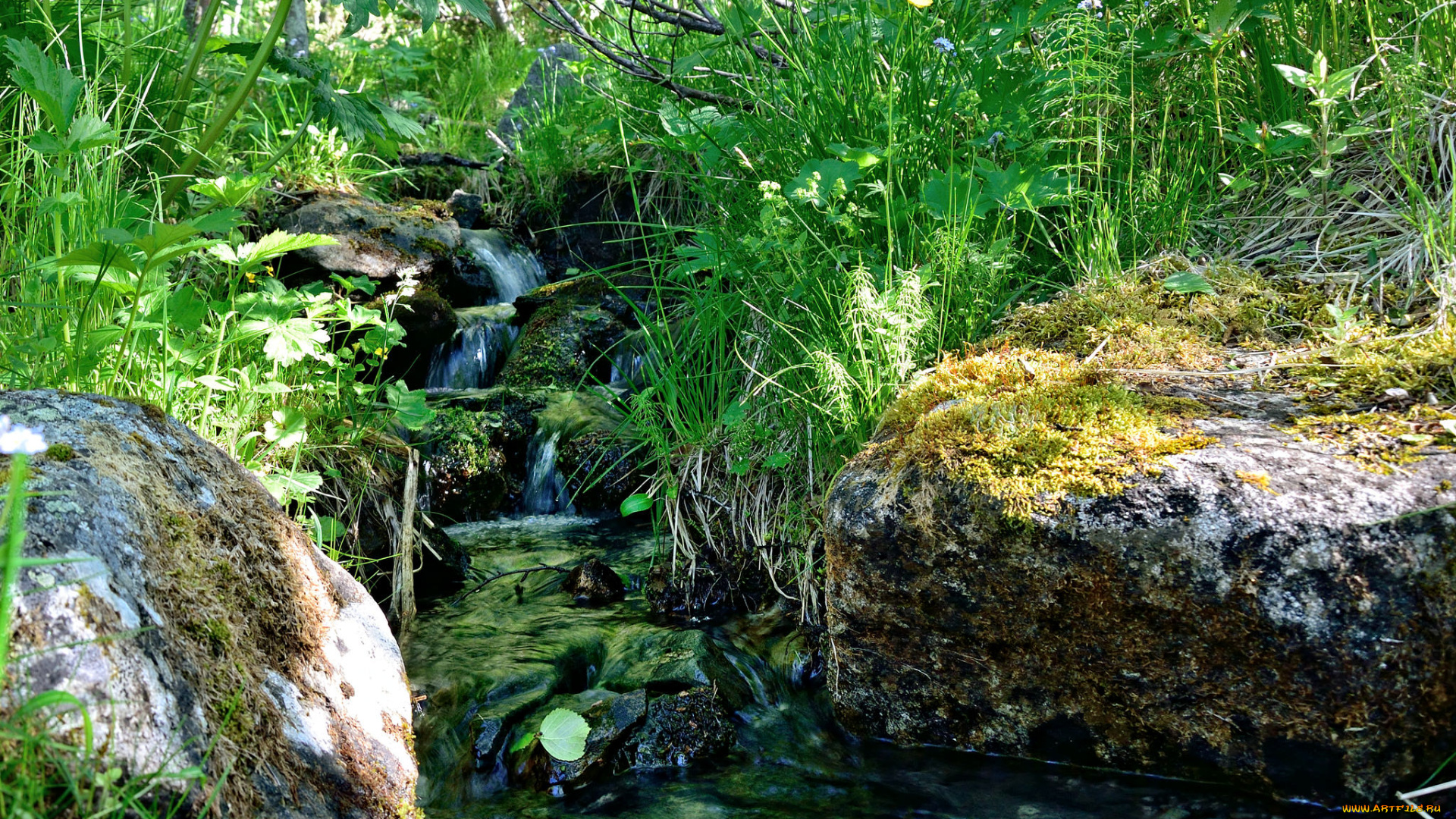 природа, реки, озера, простор