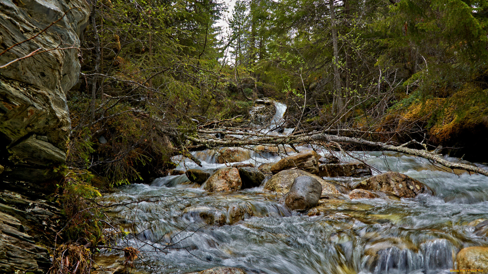 природа, реки, озера, простор