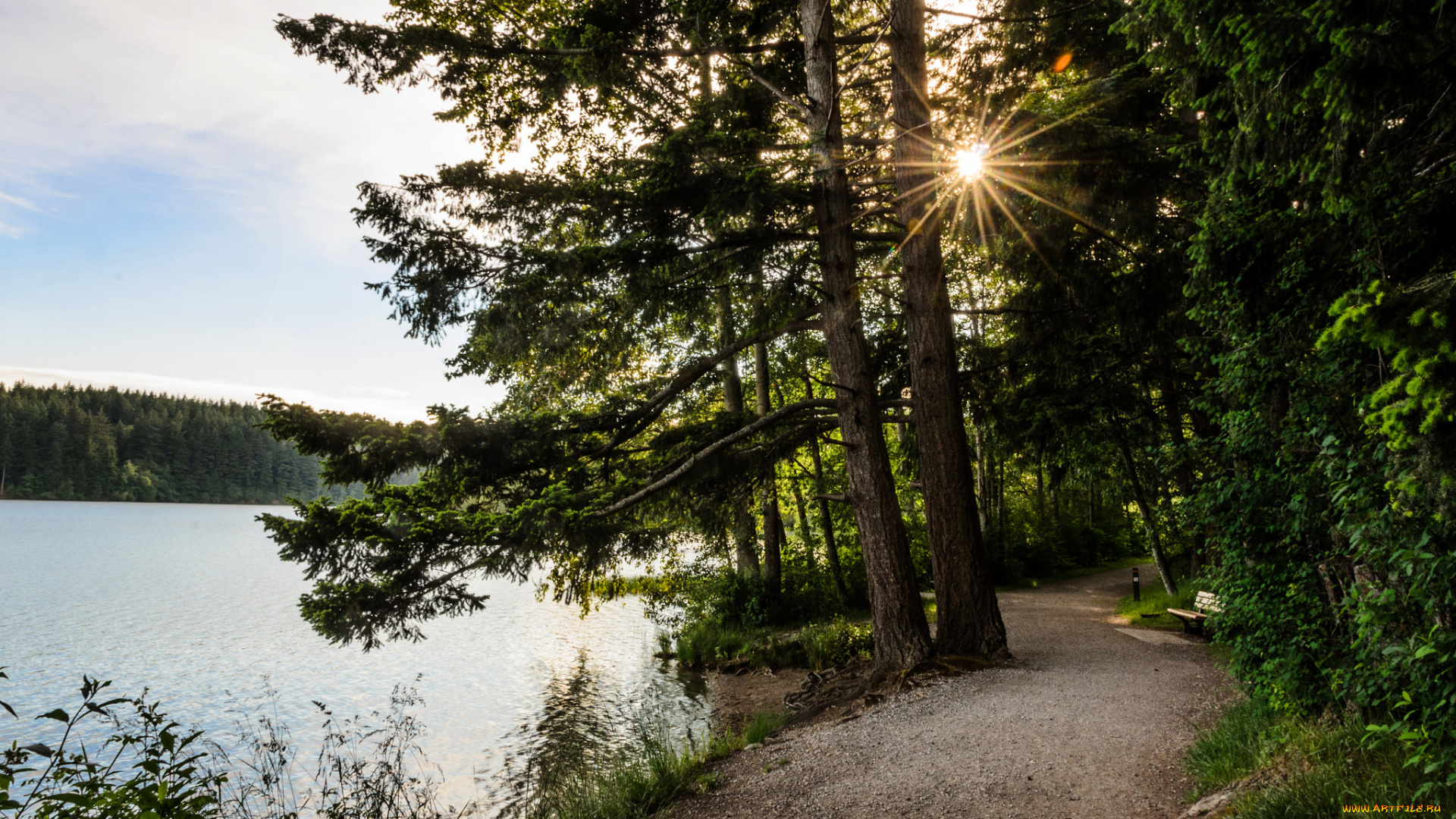 природа, реки, озера, простор