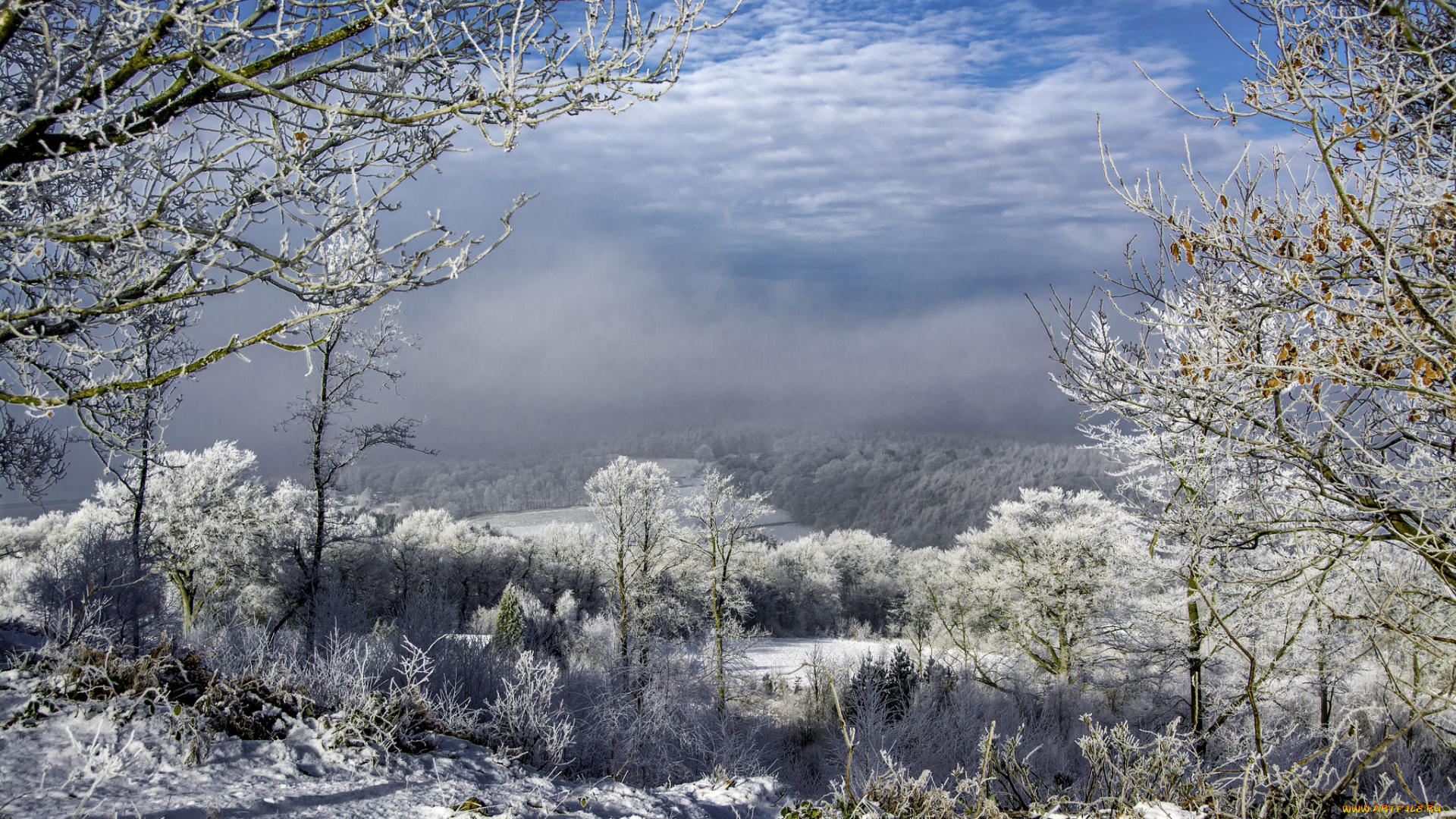 природа, зима, простор