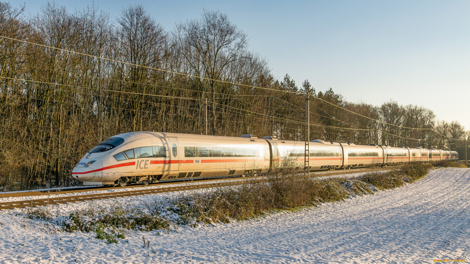 техника, электровозы, состав, локомотив