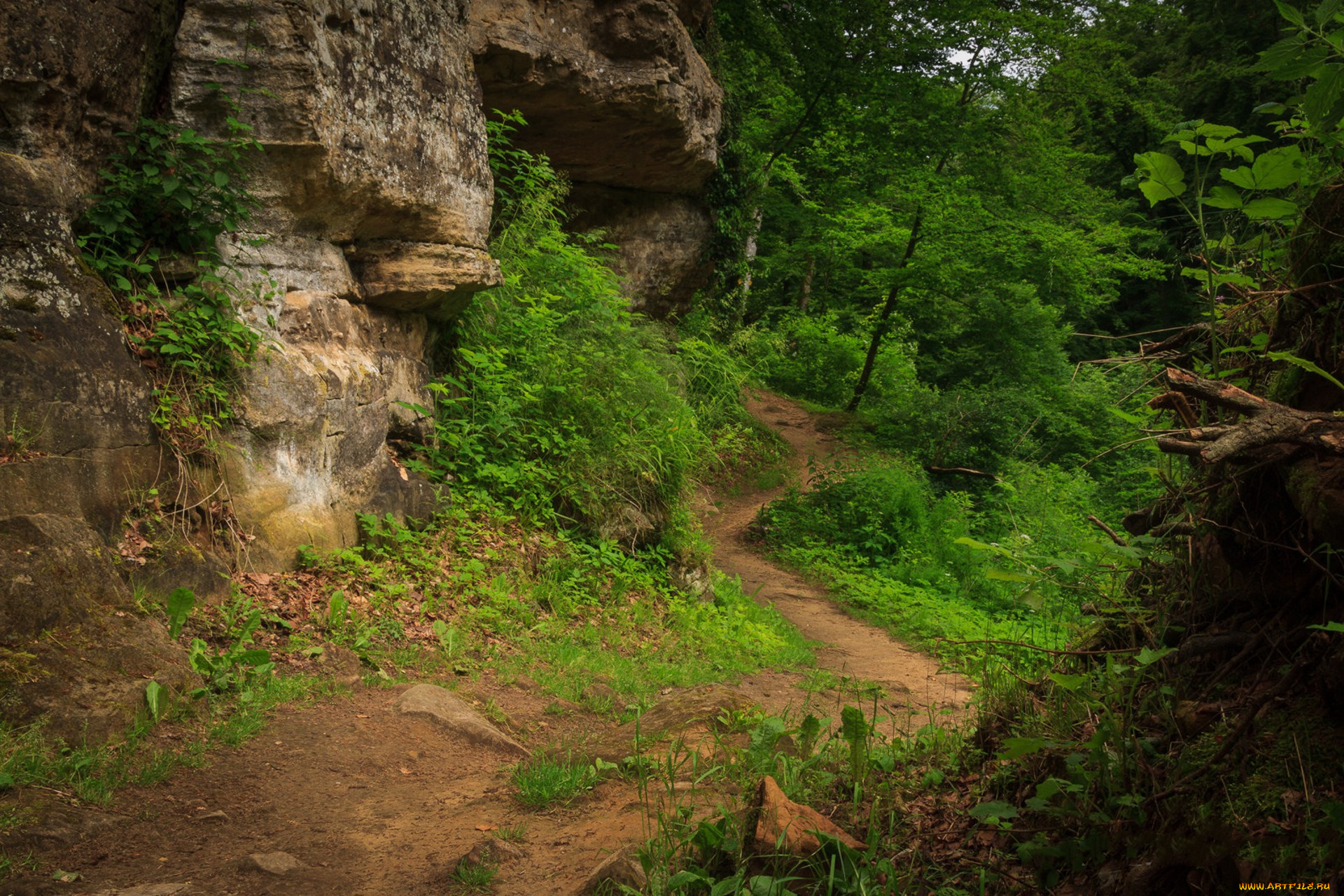 природа, дороги, простор