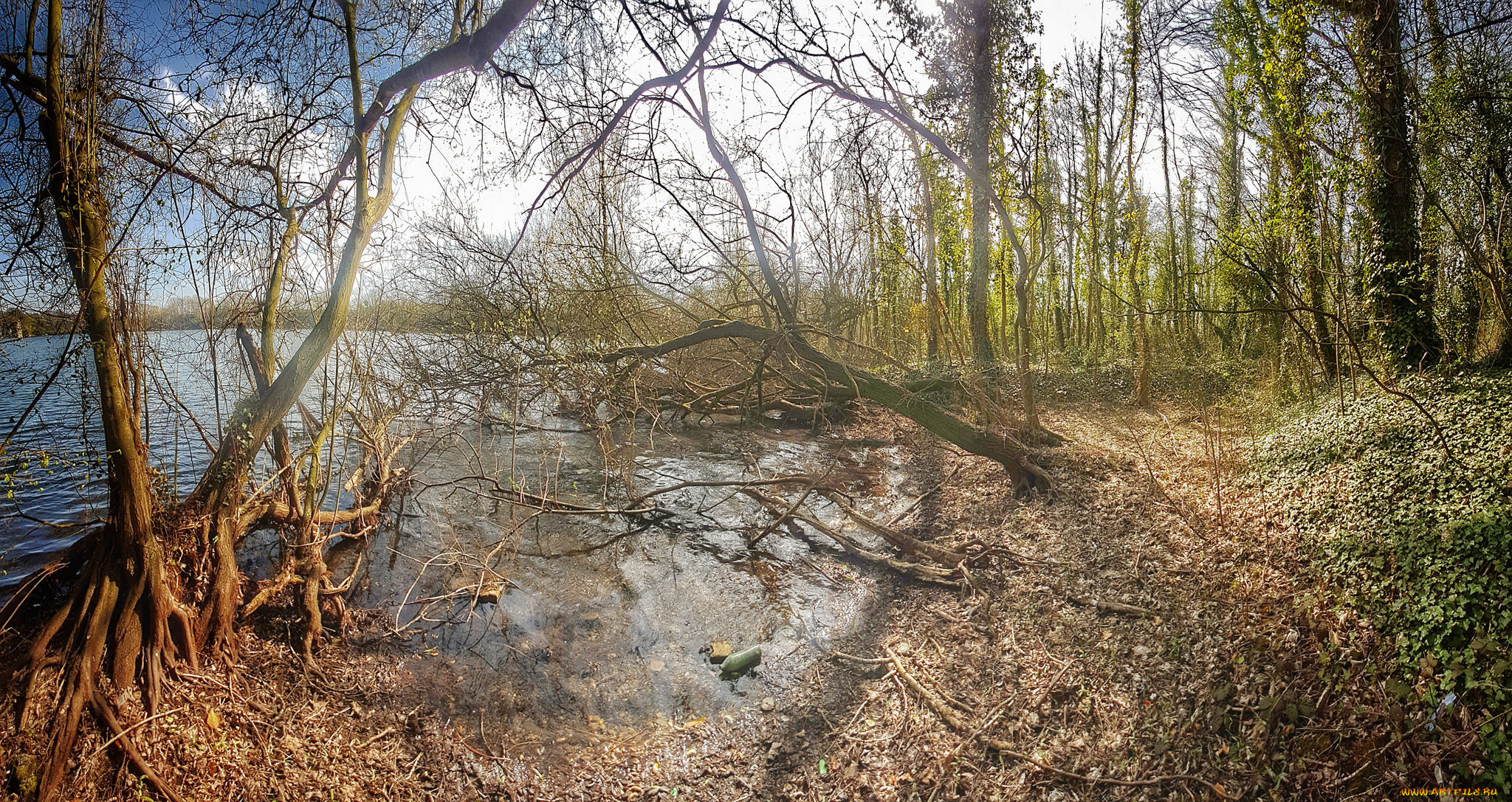 природа, реки, озера, простор