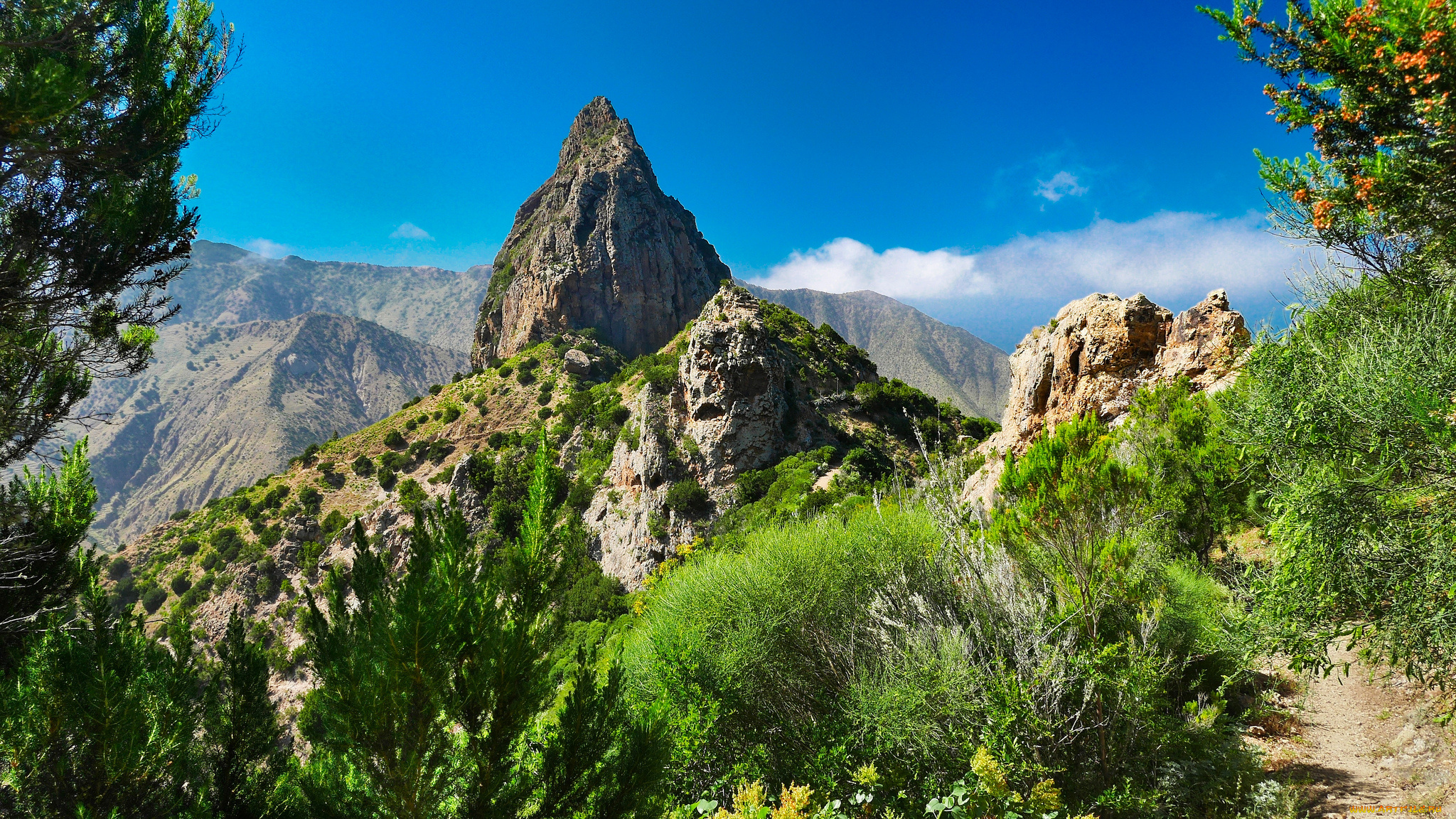 природа, горы, простор