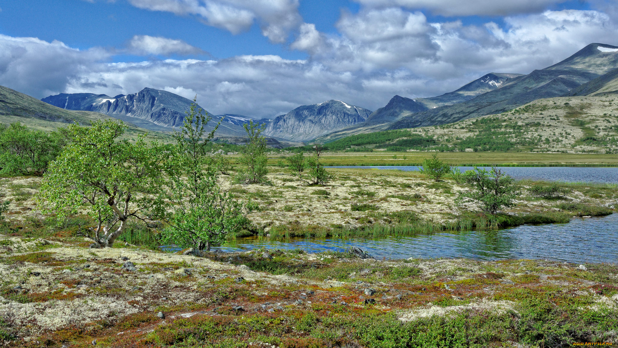 природа, пейзажи, простор