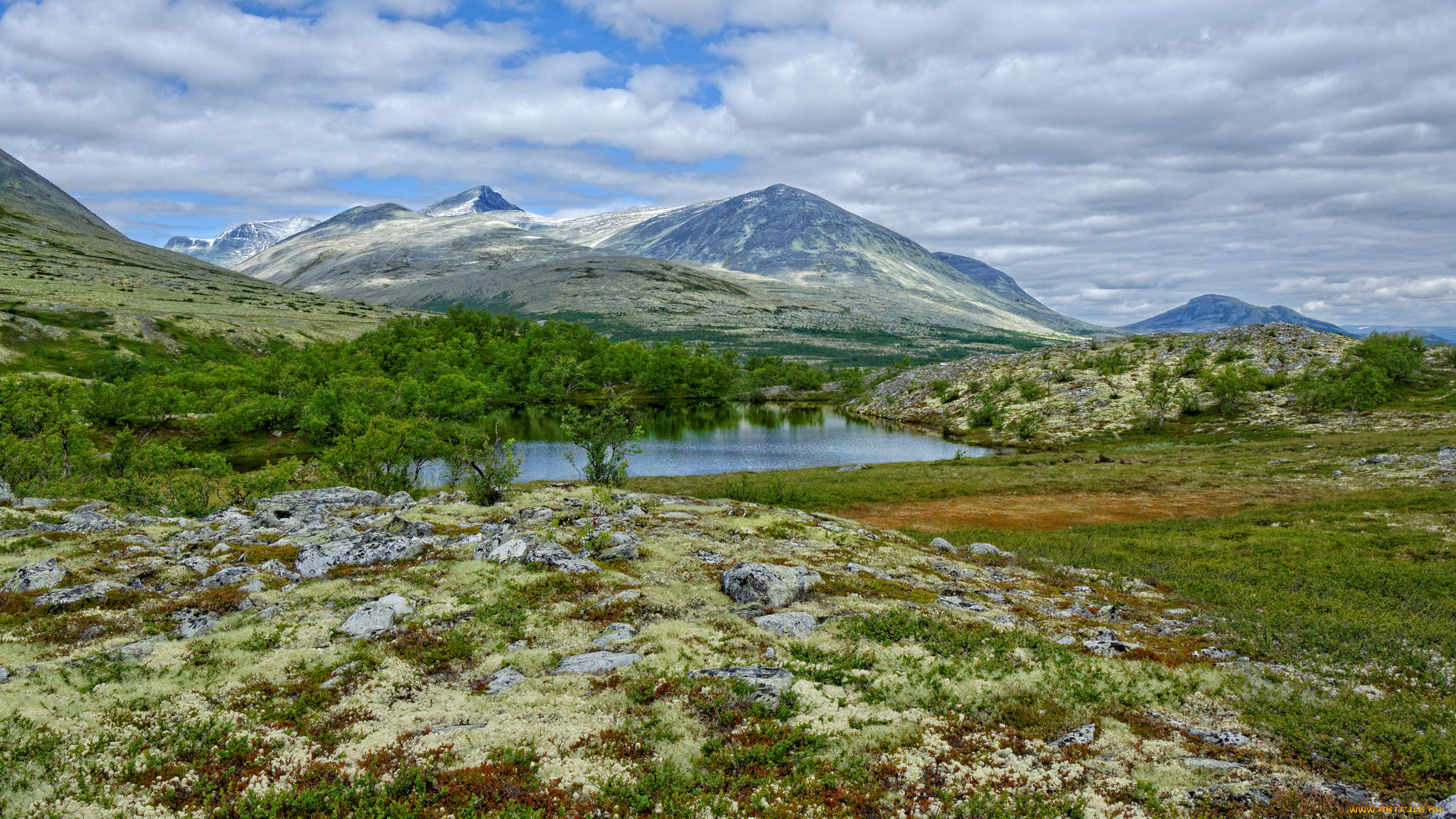природа, пейзажи, простор