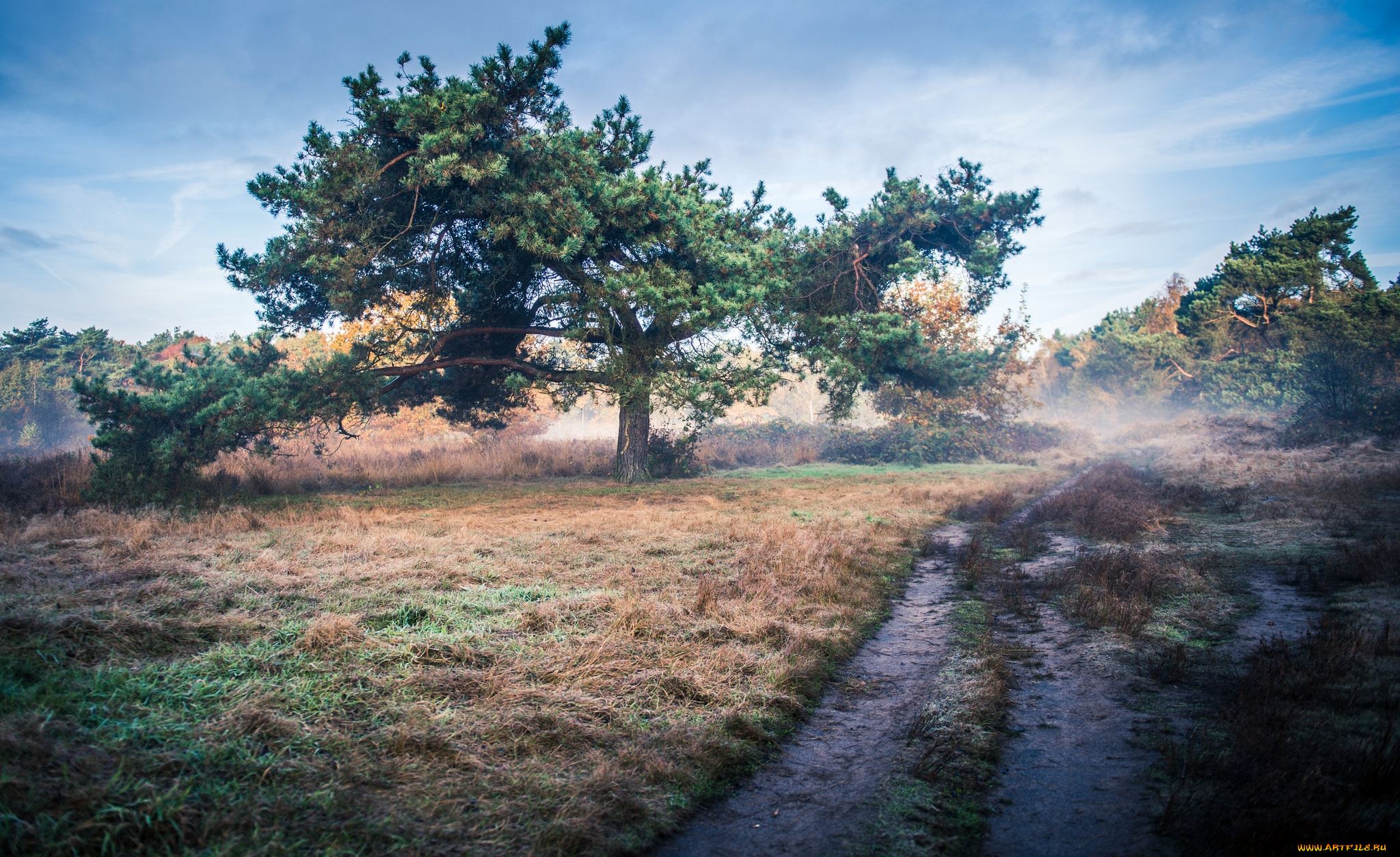 природа, дороги, простор