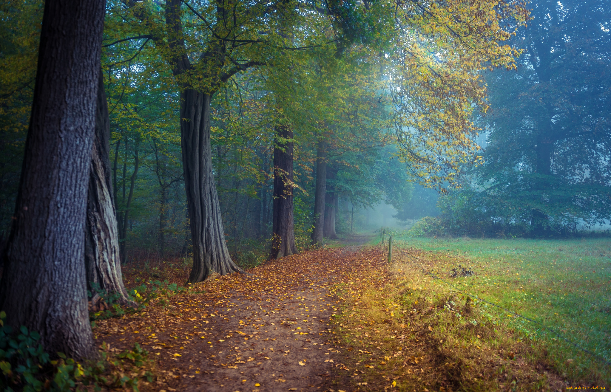 природа, дороги, простор