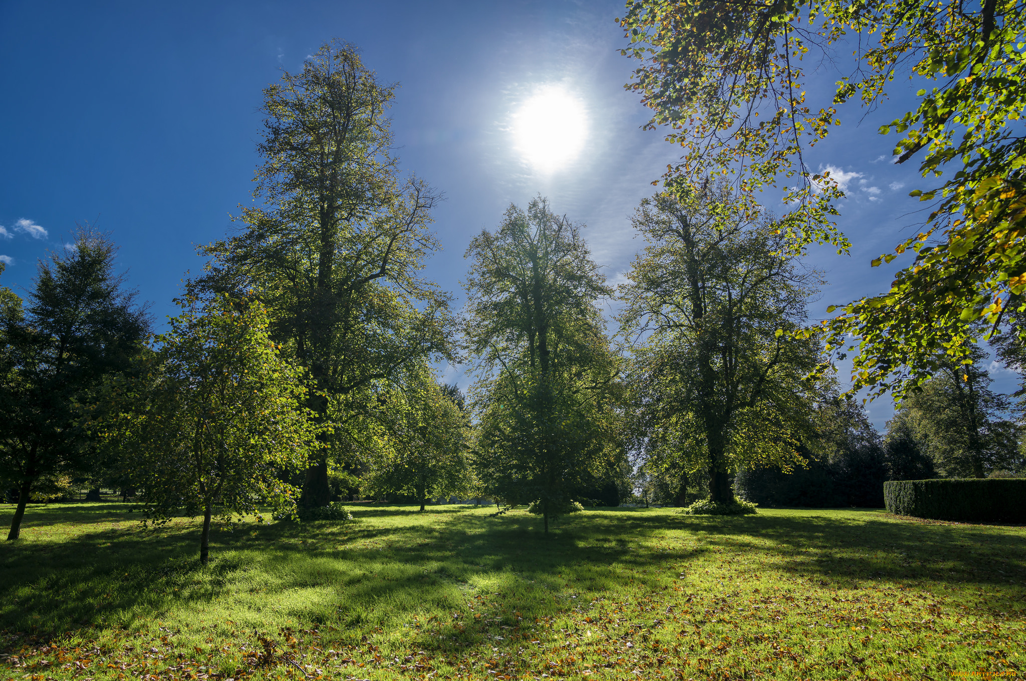 природа, пейзажи, простор