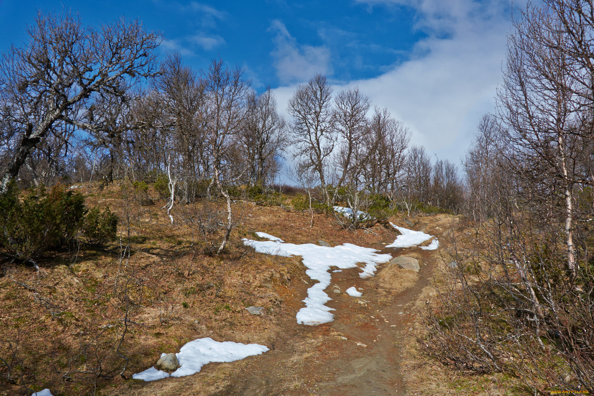 природа, дороги, простор