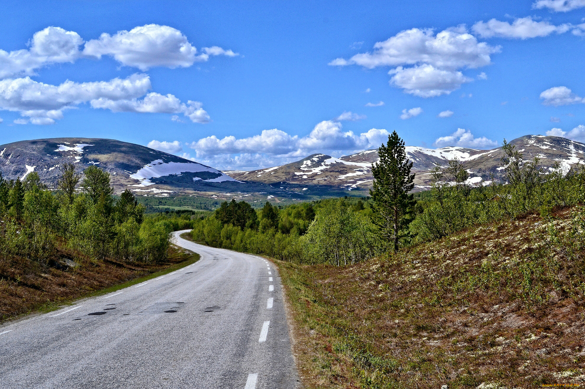 природа, дороги, простор