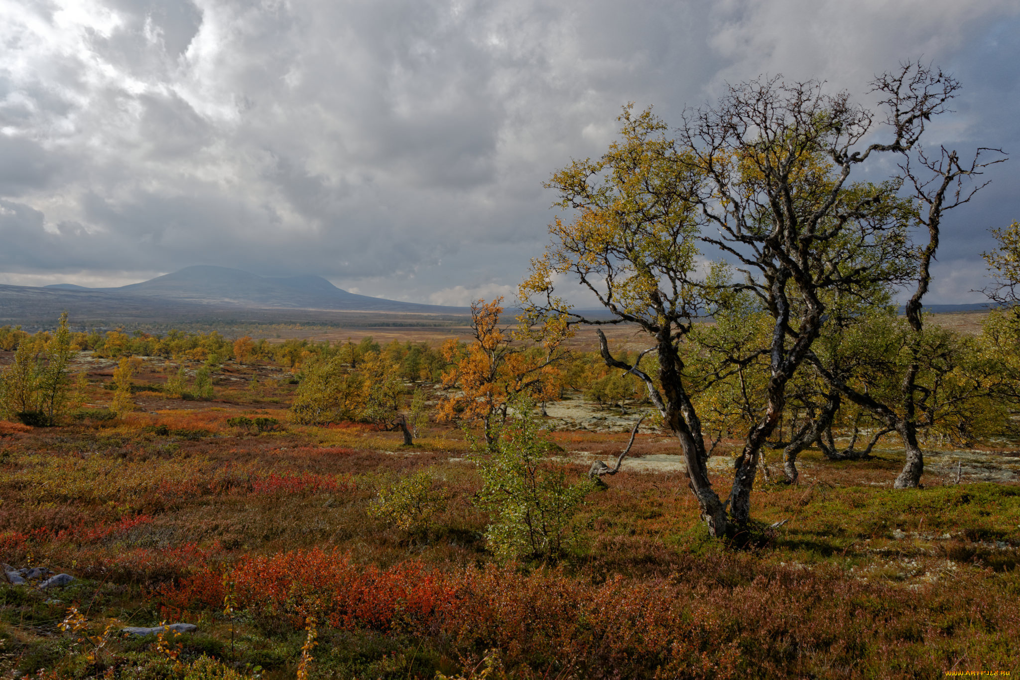 природа, пейзажи, простор