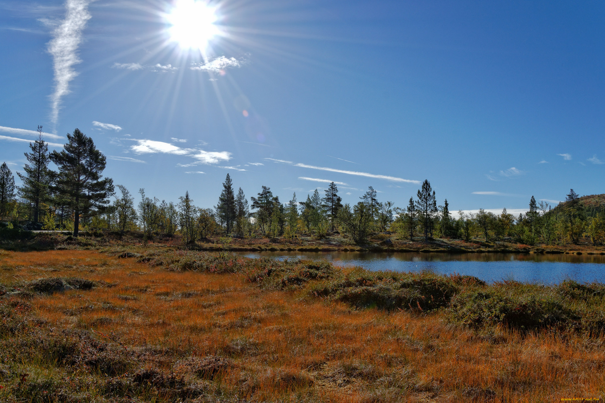 природа, пейзажи, простор