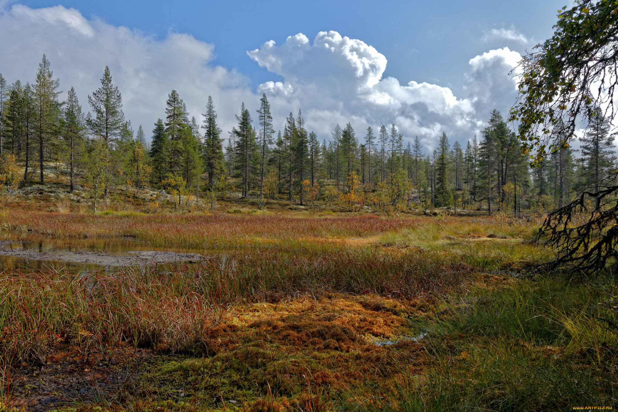 природа, пейзажи, простор