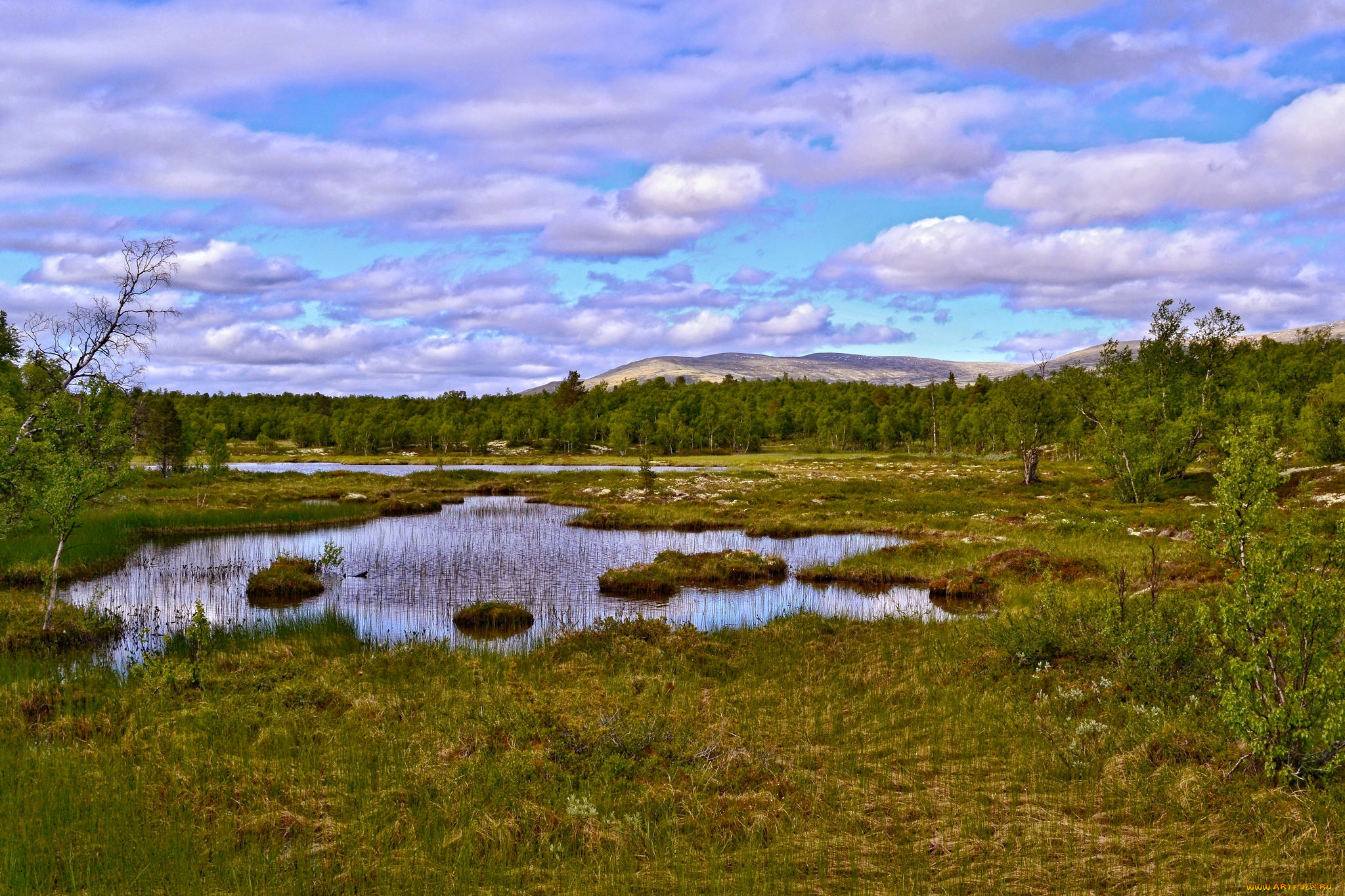 природа, пейзажи, простор