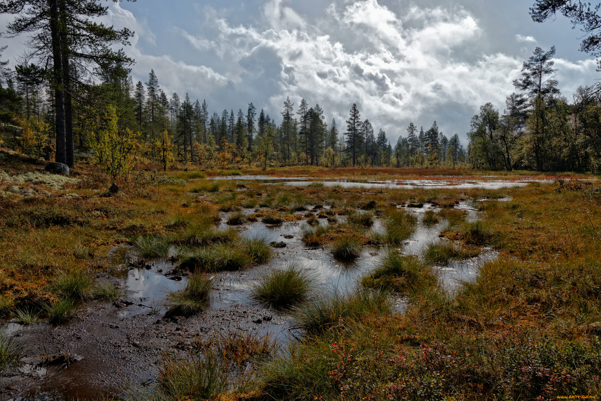 природа, реки, озера, простор
