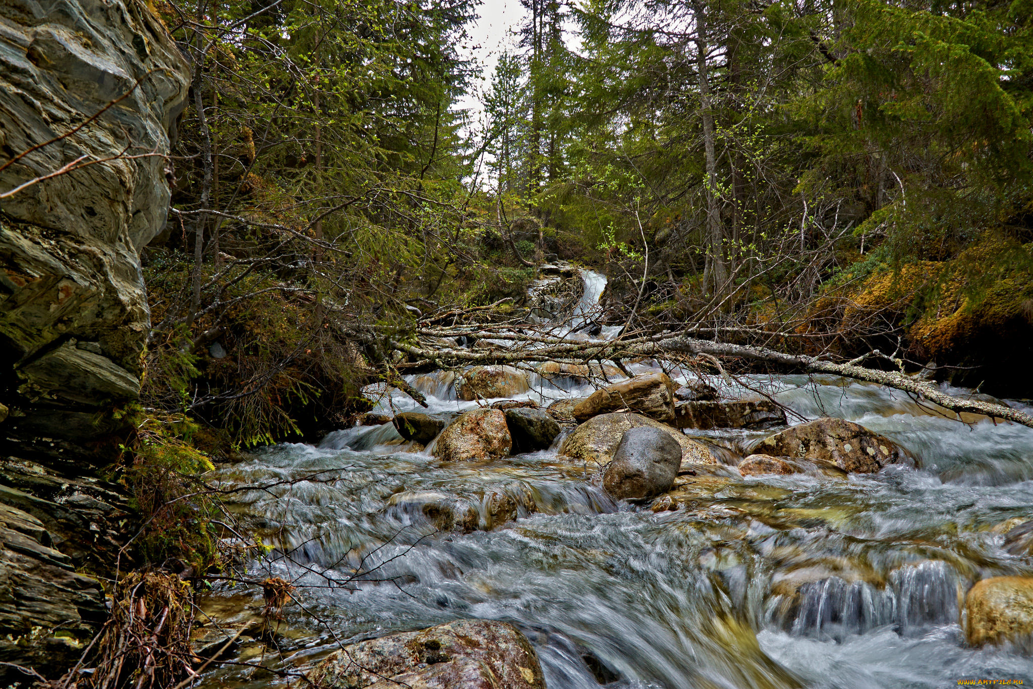 природа, реки, озера, простор