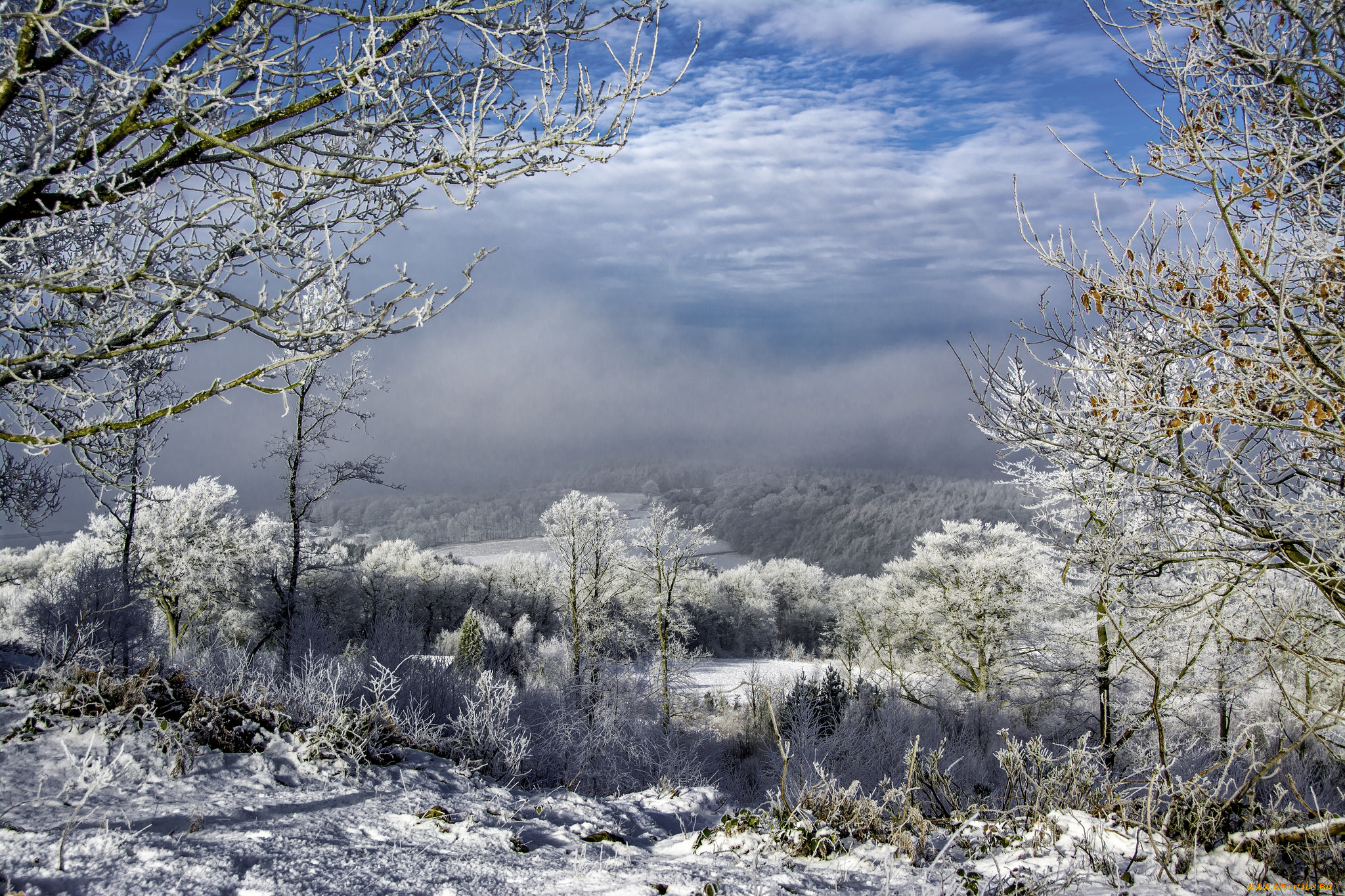 природа, зима, простор