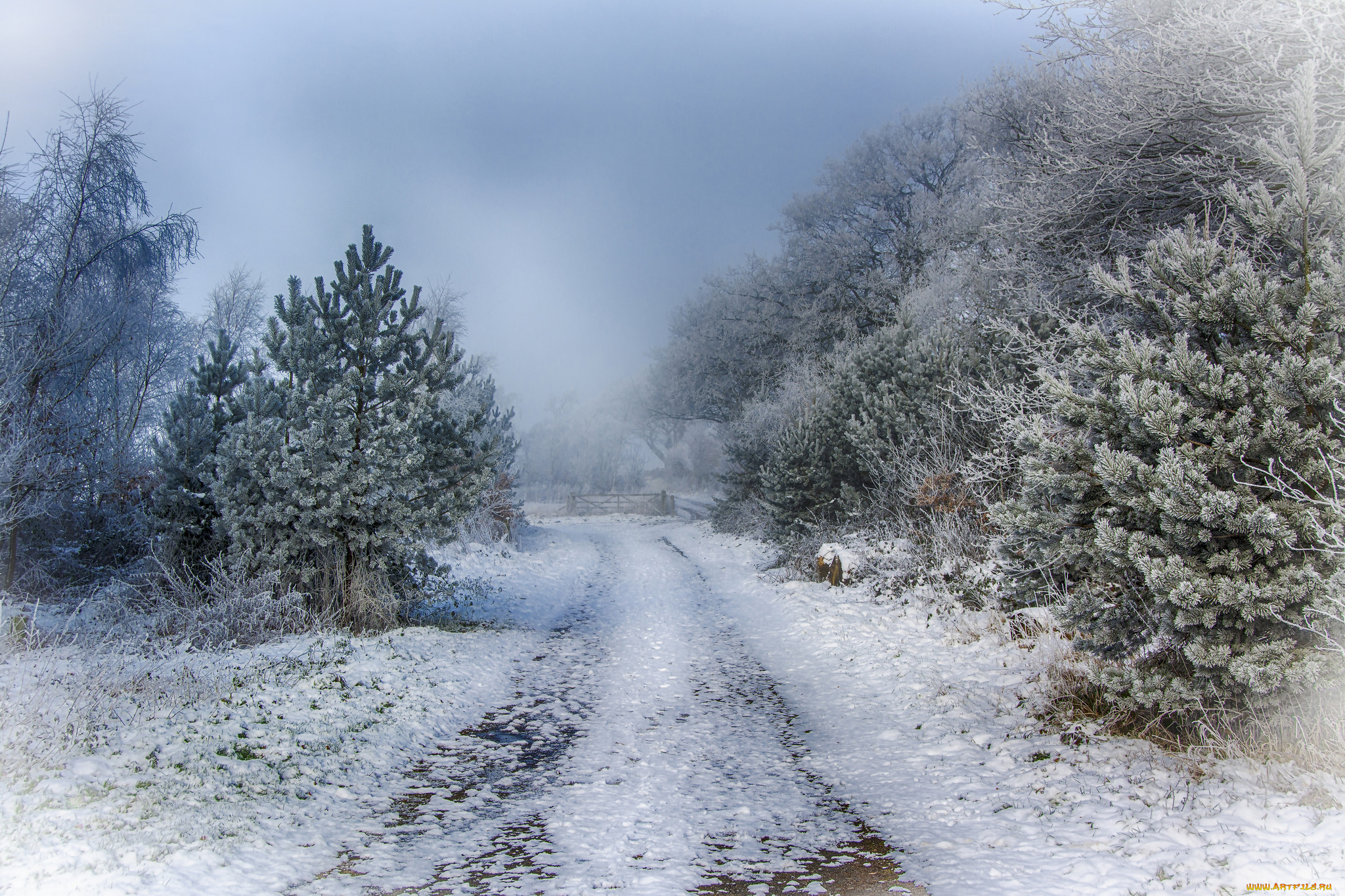 природа, зима, простор