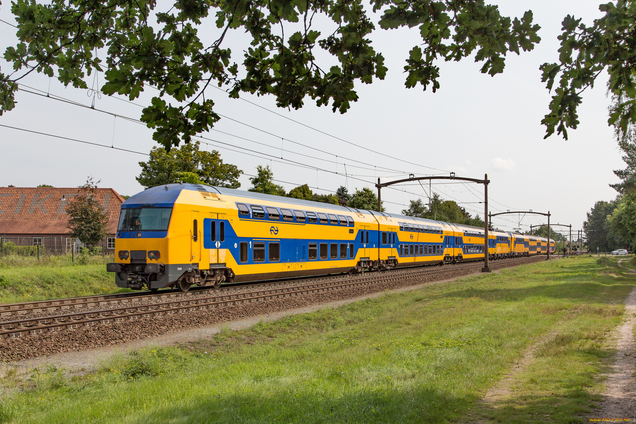 техника, электровозы, состав, локомотив