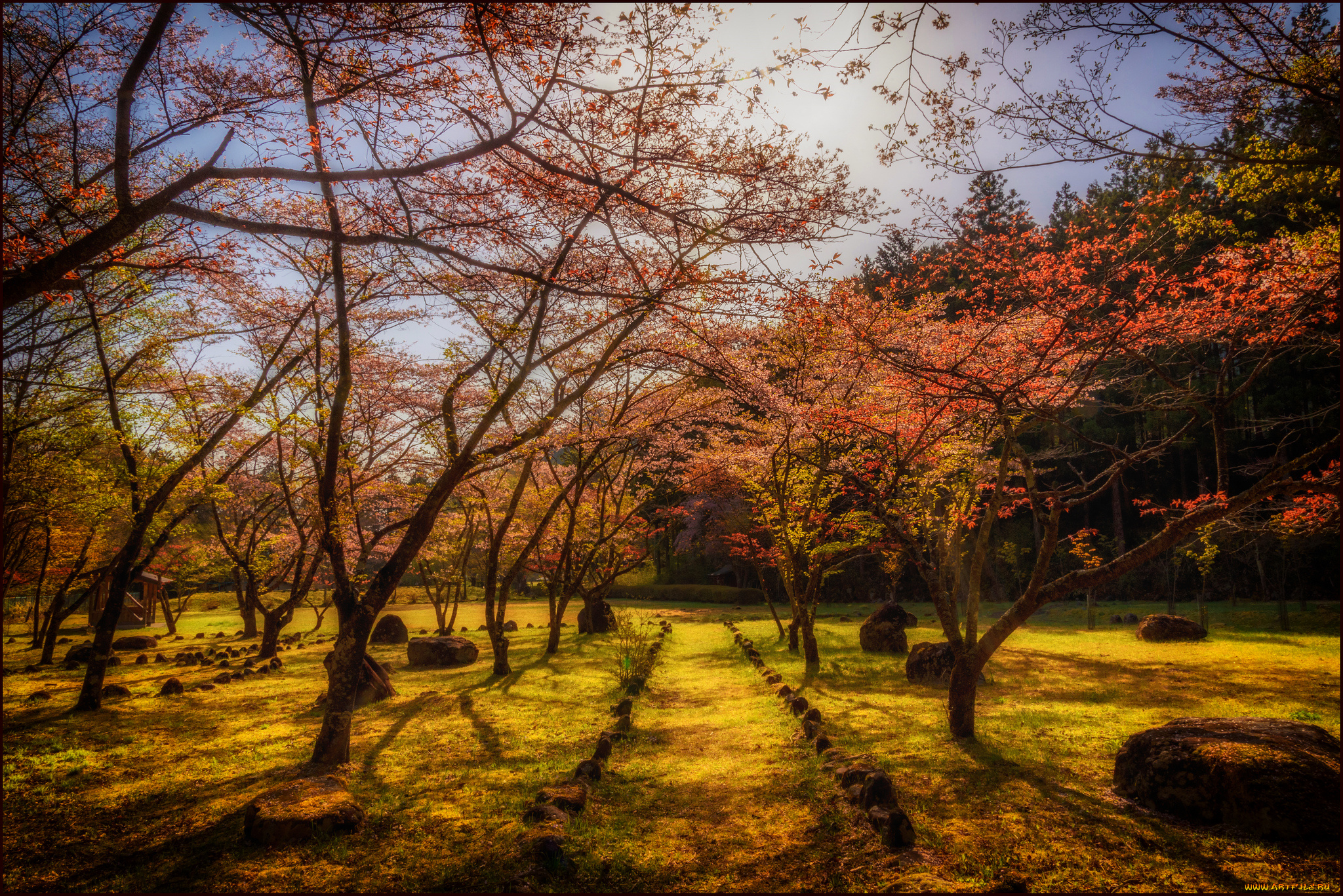 природа, пейзажи, простор