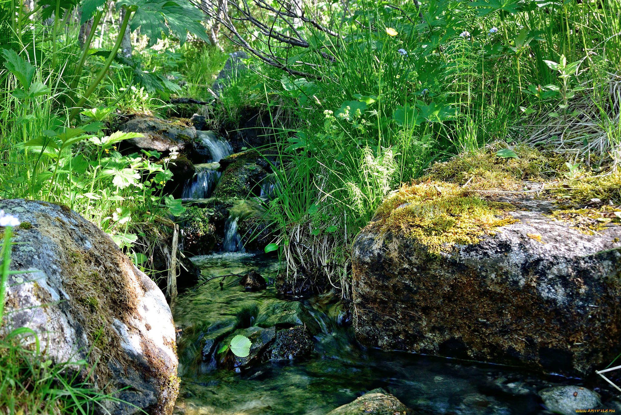 природа, реки, озера, простор