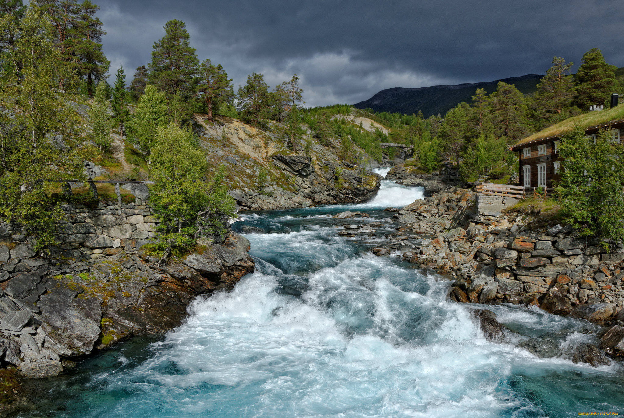 природа, реки, озера, простор