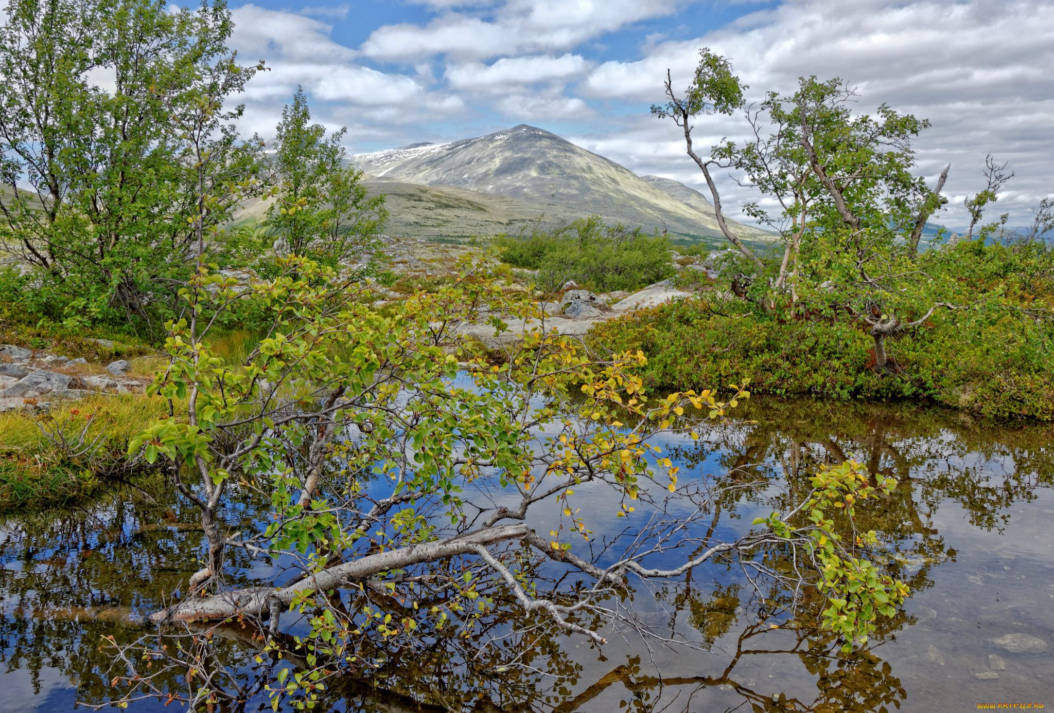 природа, реки, озера, простор