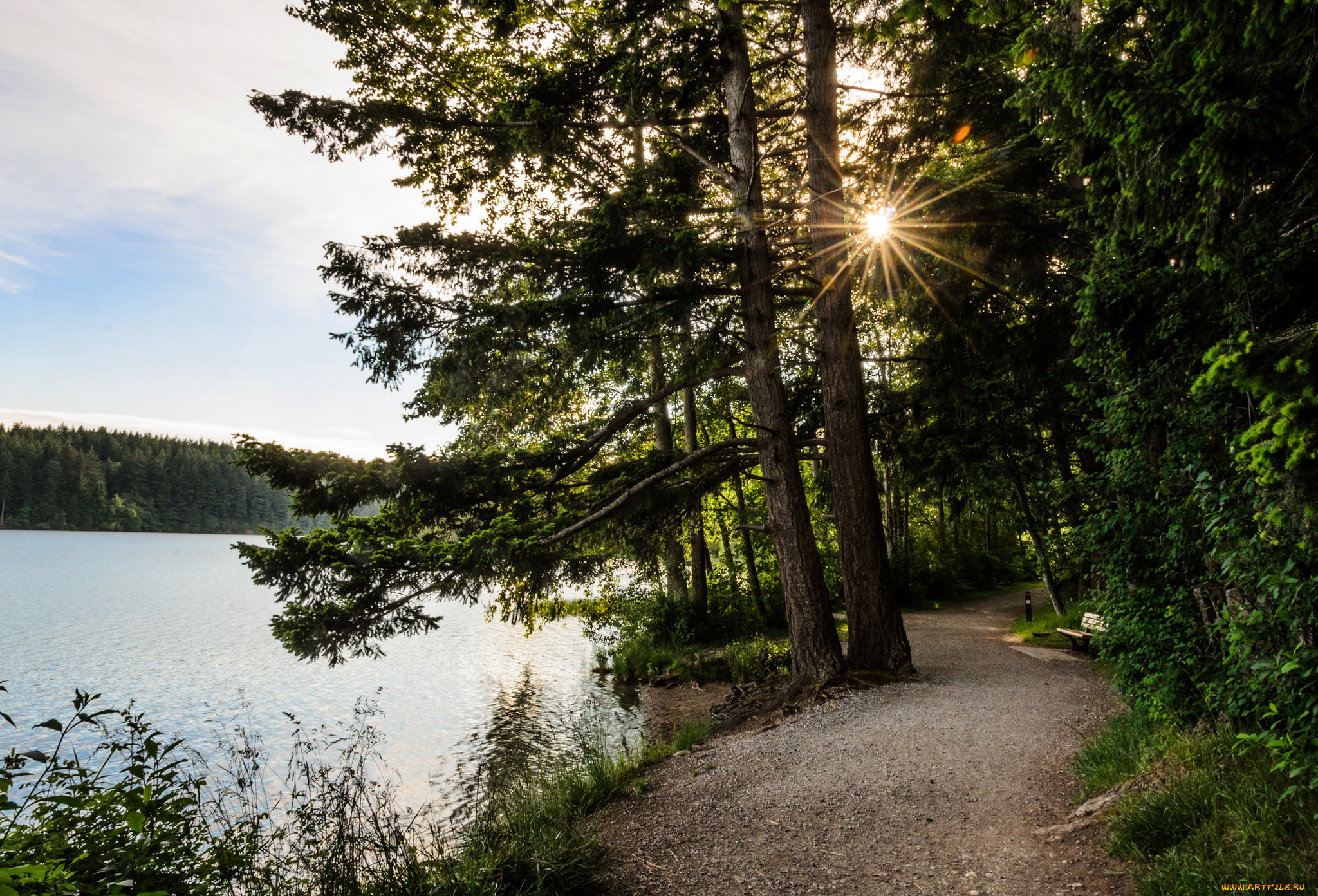 природа, реки, озера, простор