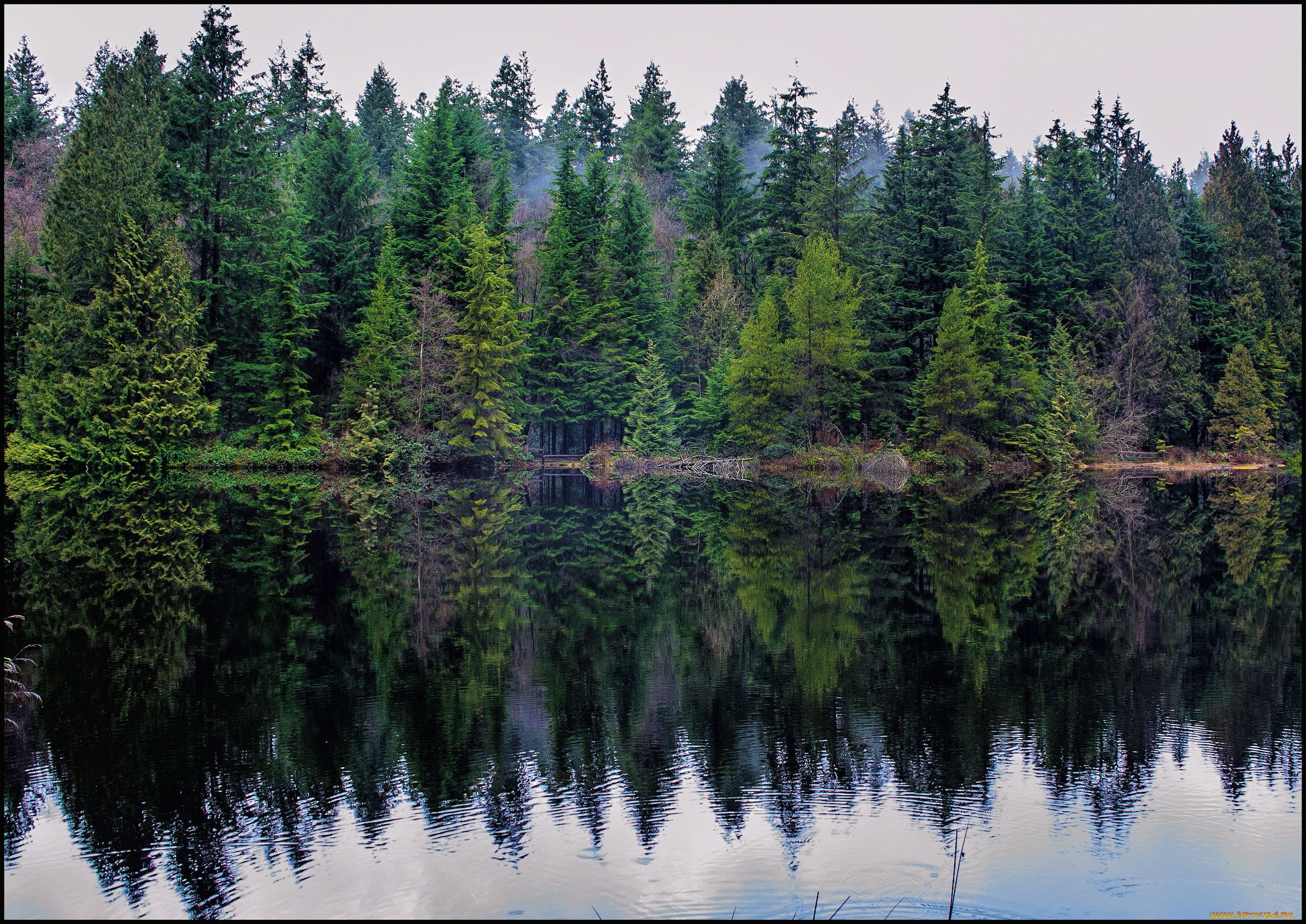 природа, реки, озера, простор